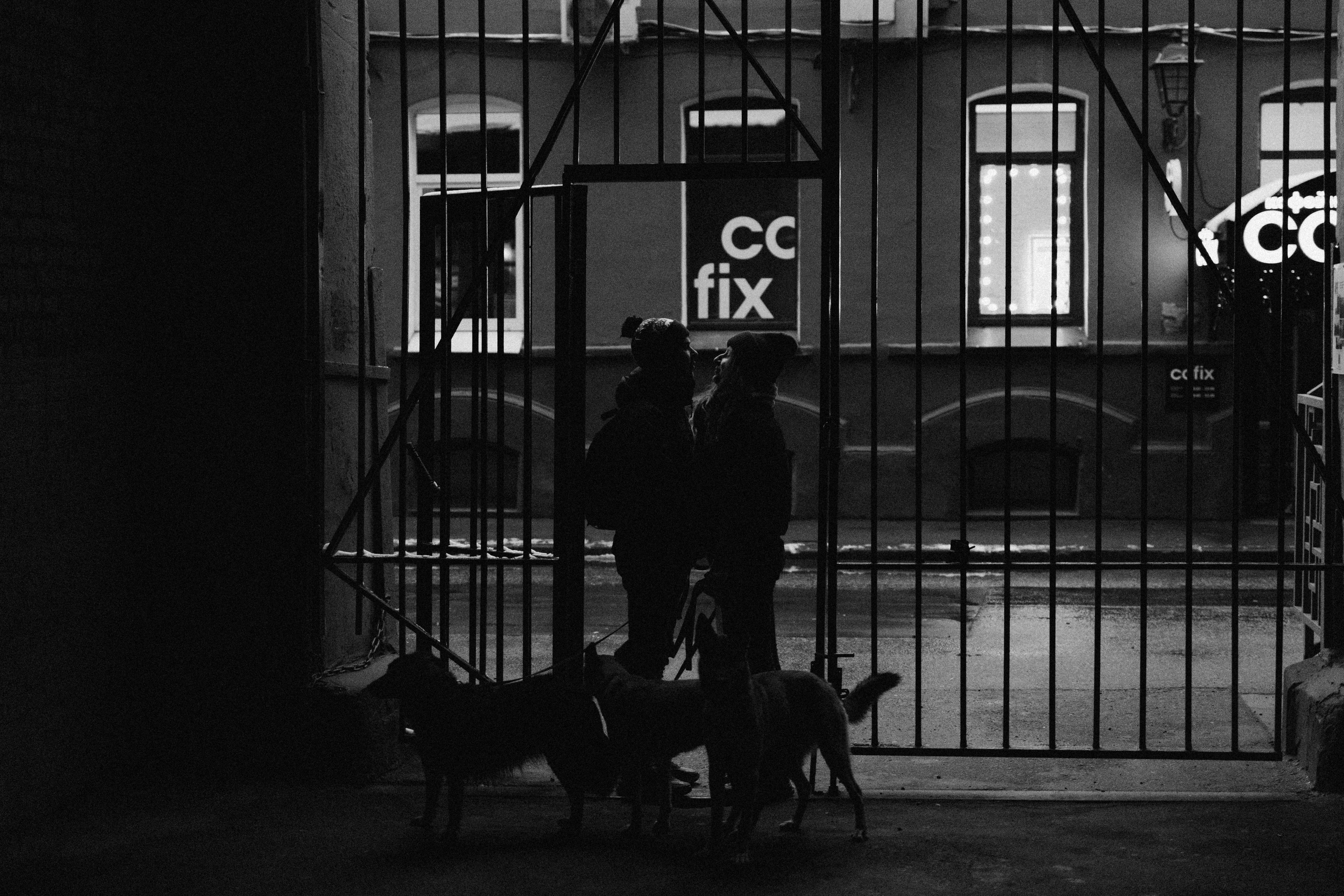 Саша, Ксюша и их банда. Фотораф — анималист Мария Шистка