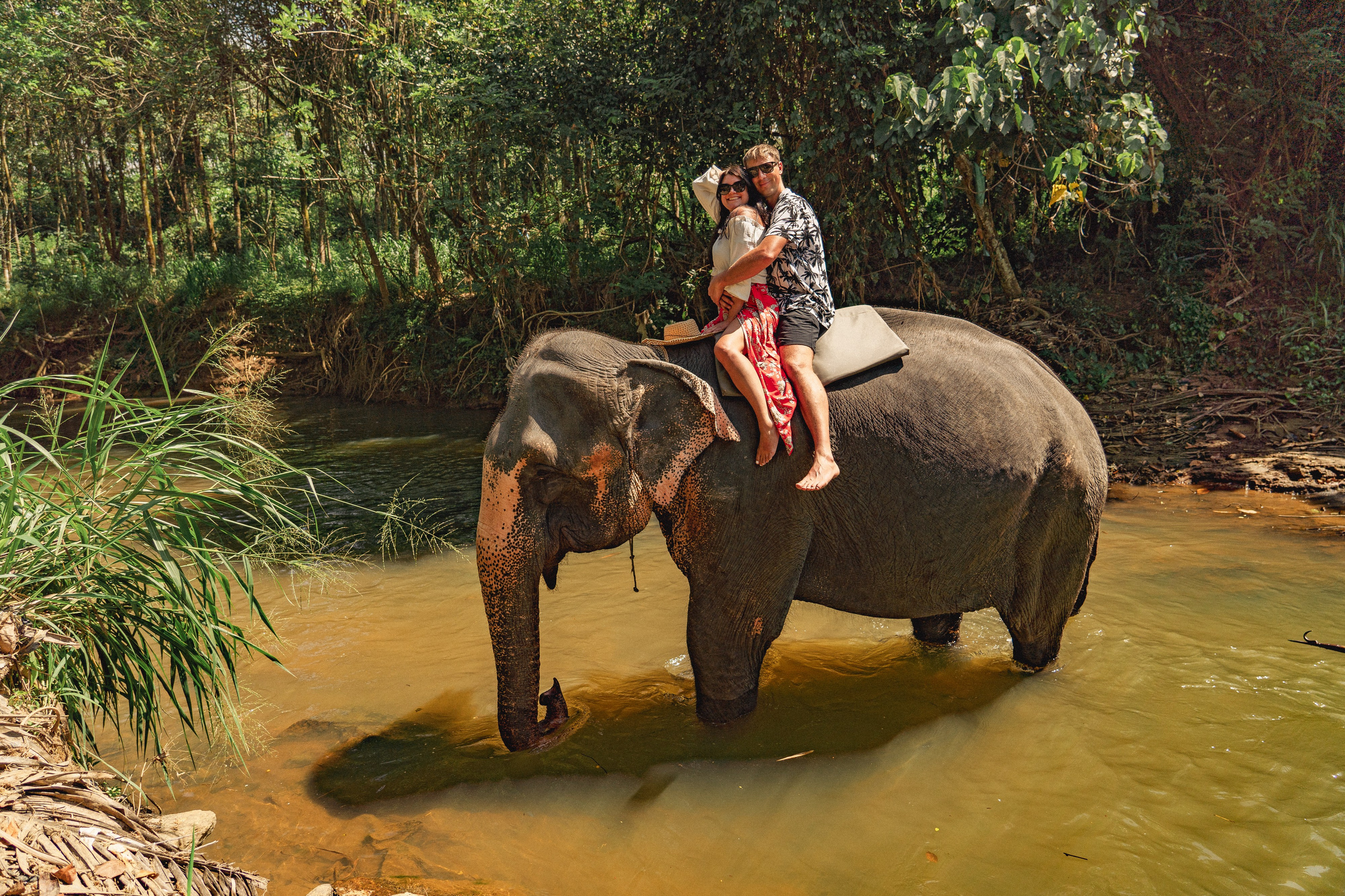 Bathing with elephants in Pinnawala, Botanical Garden
