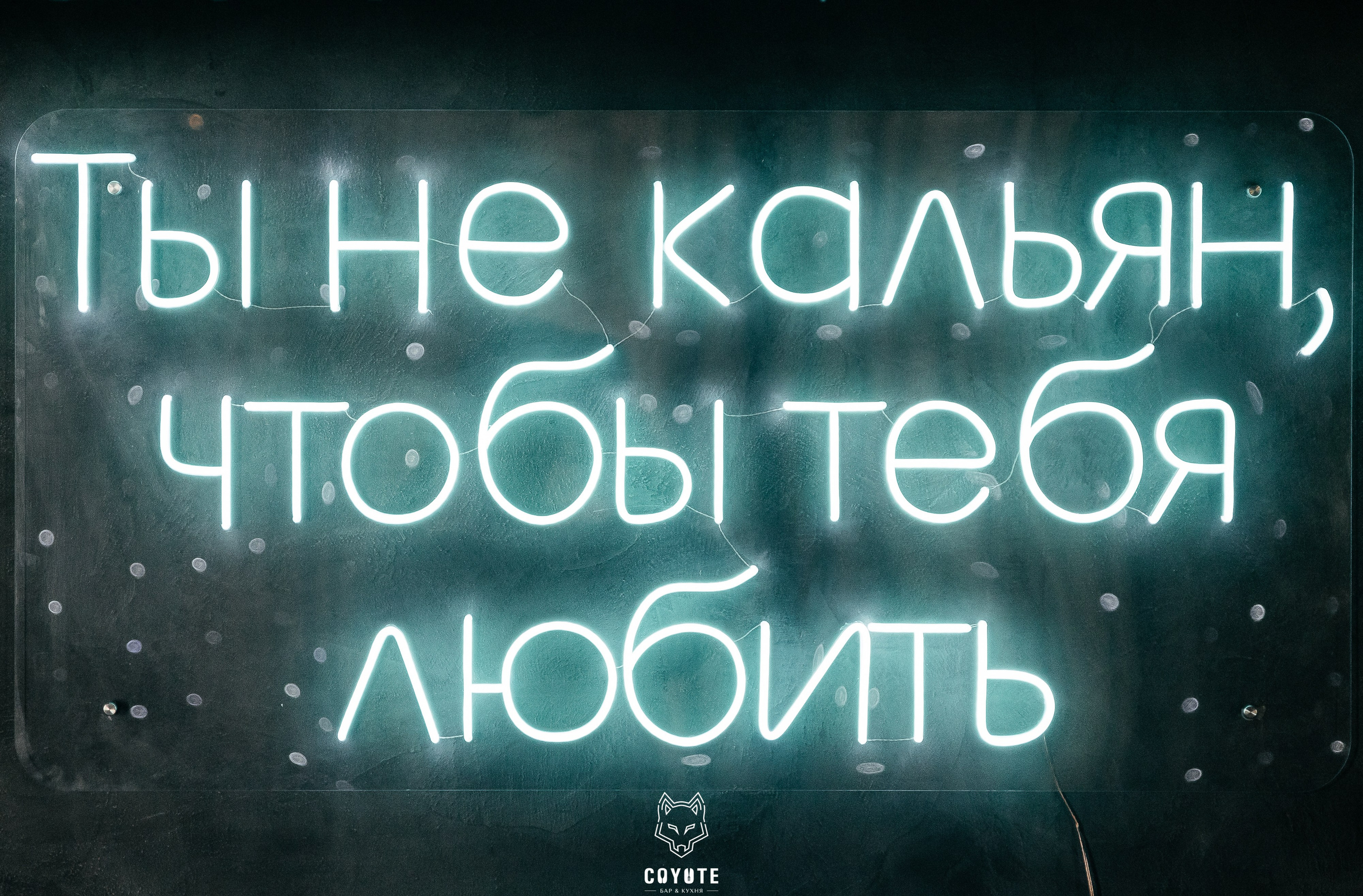 Бар Койот. Ваш самый лучший фотограф!