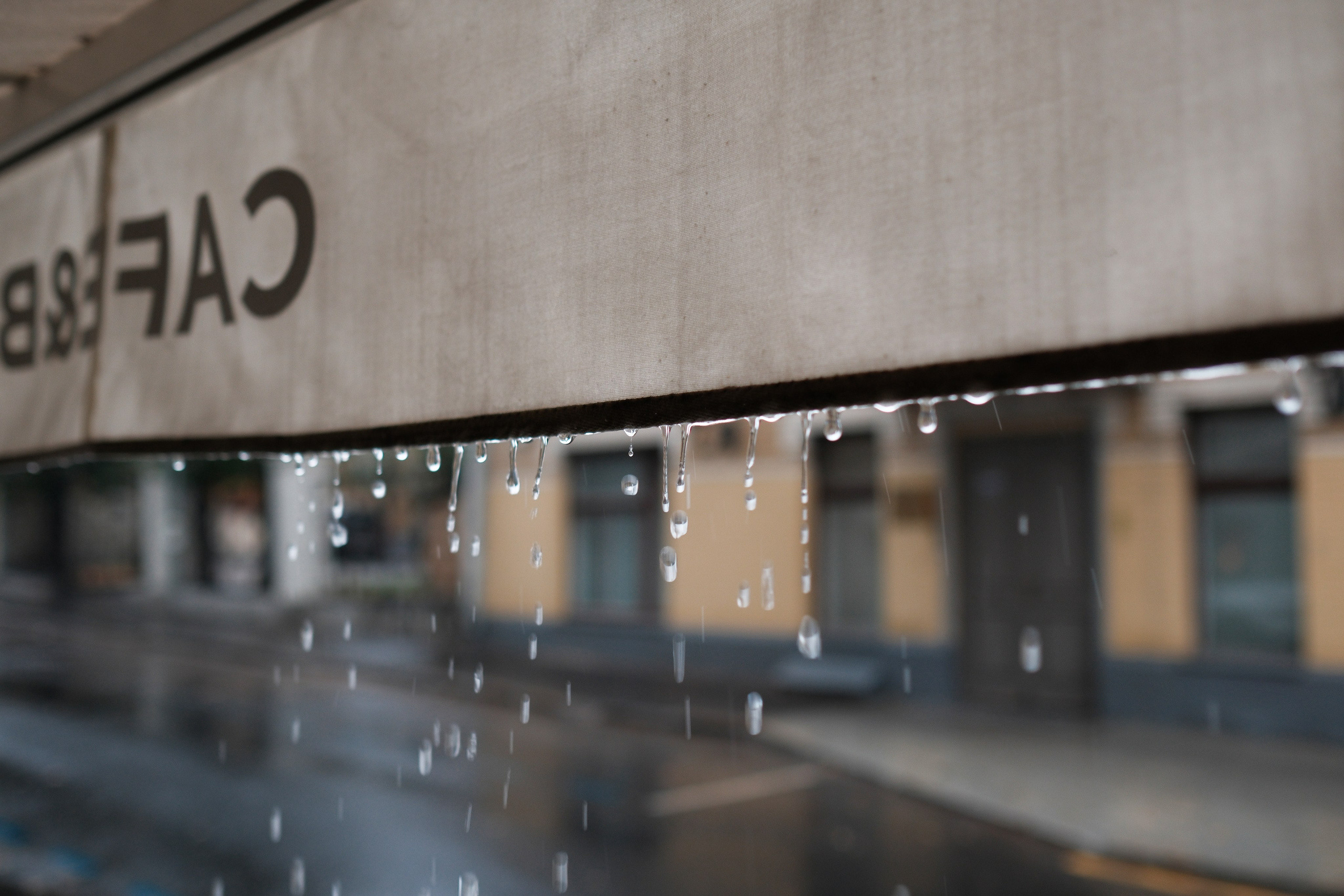 Надежда и Фёдор. Фотограф Михаил Ерохин | Москва