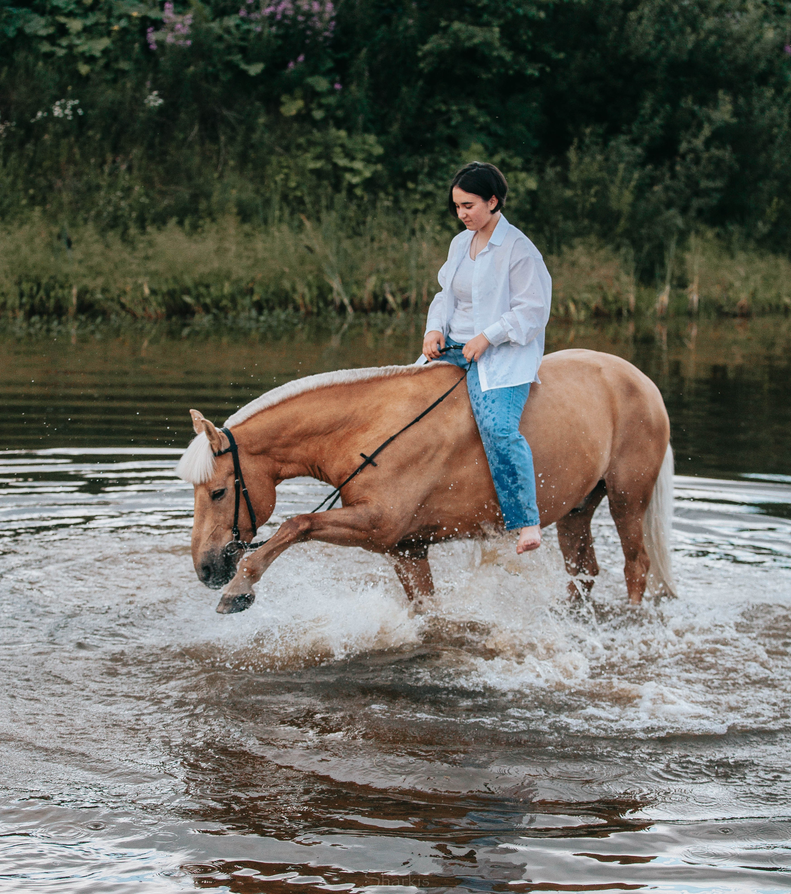 Алина и Гешефт. Главная