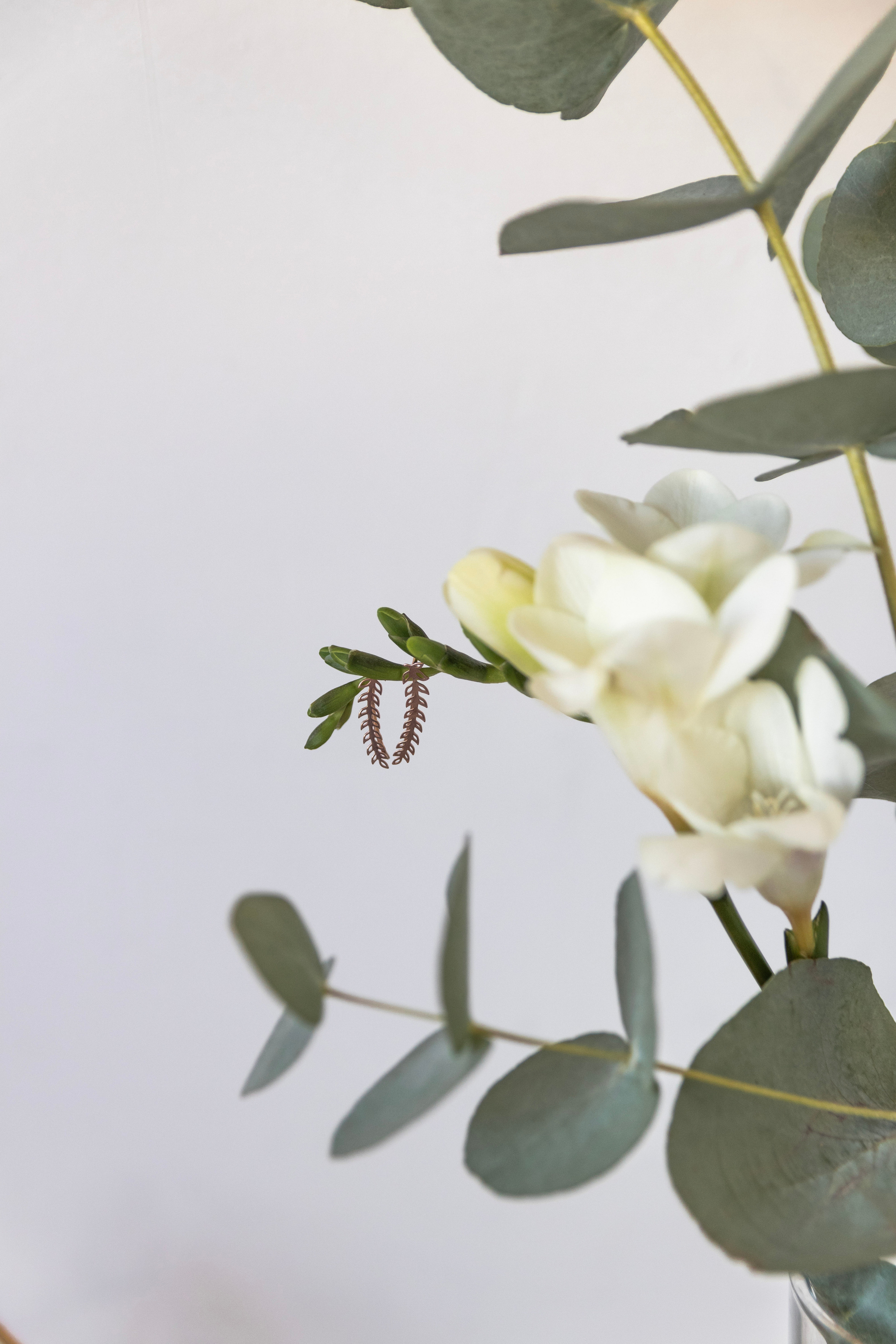 Контент фото. Предметный фотограф Северова Екатерина | Профессиональная предметная съёмка фото и видео в Санкт-Петербурге