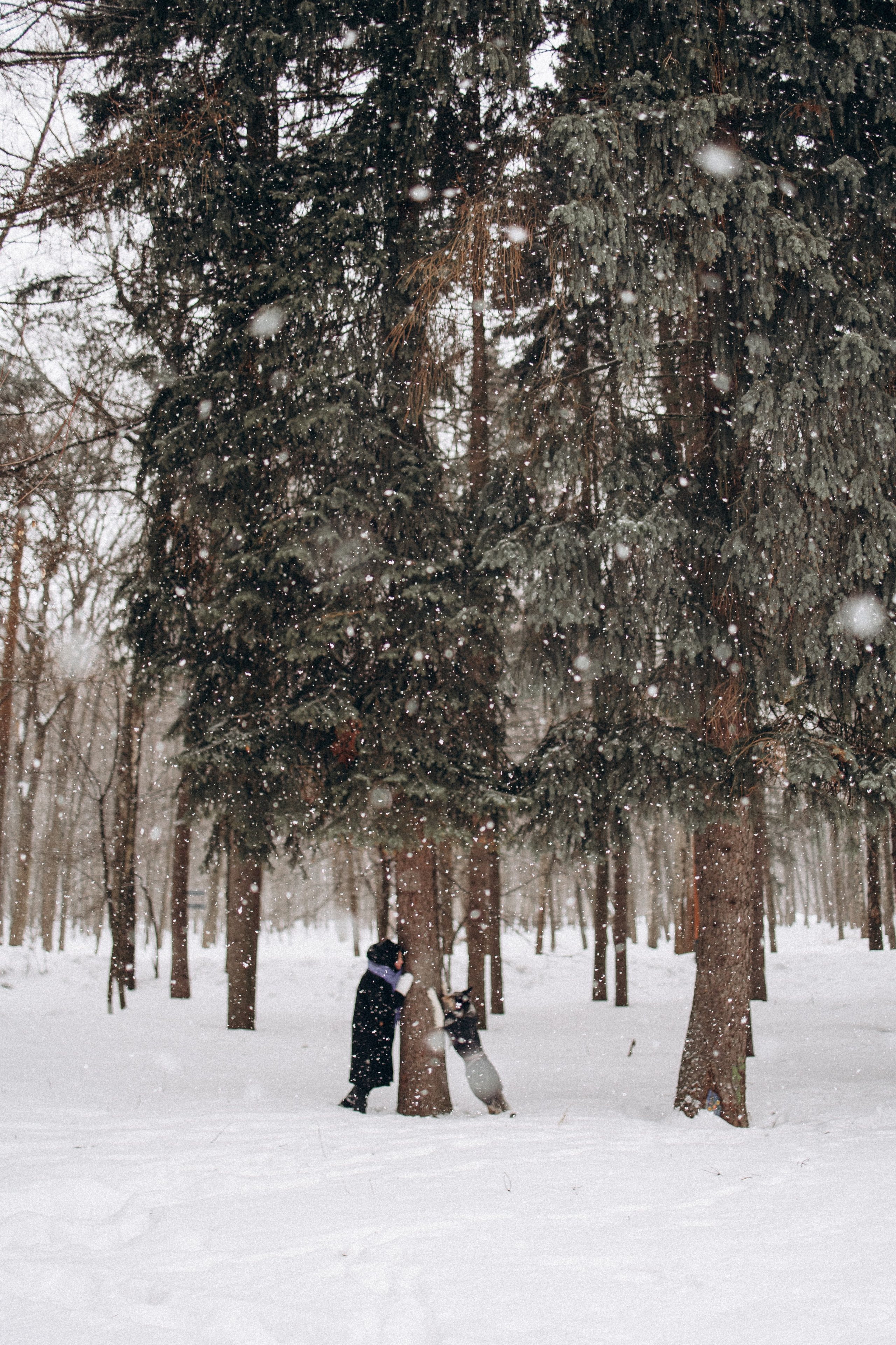 Настя и Тор. Фотораф — анималист Мария Шистка