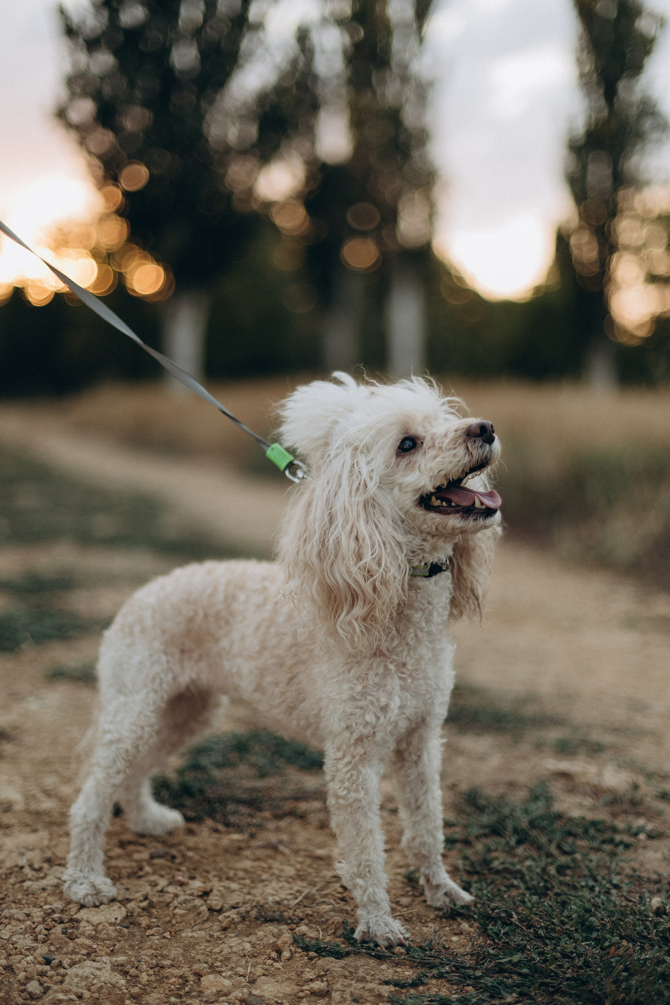 Ольга и Марк. Главная