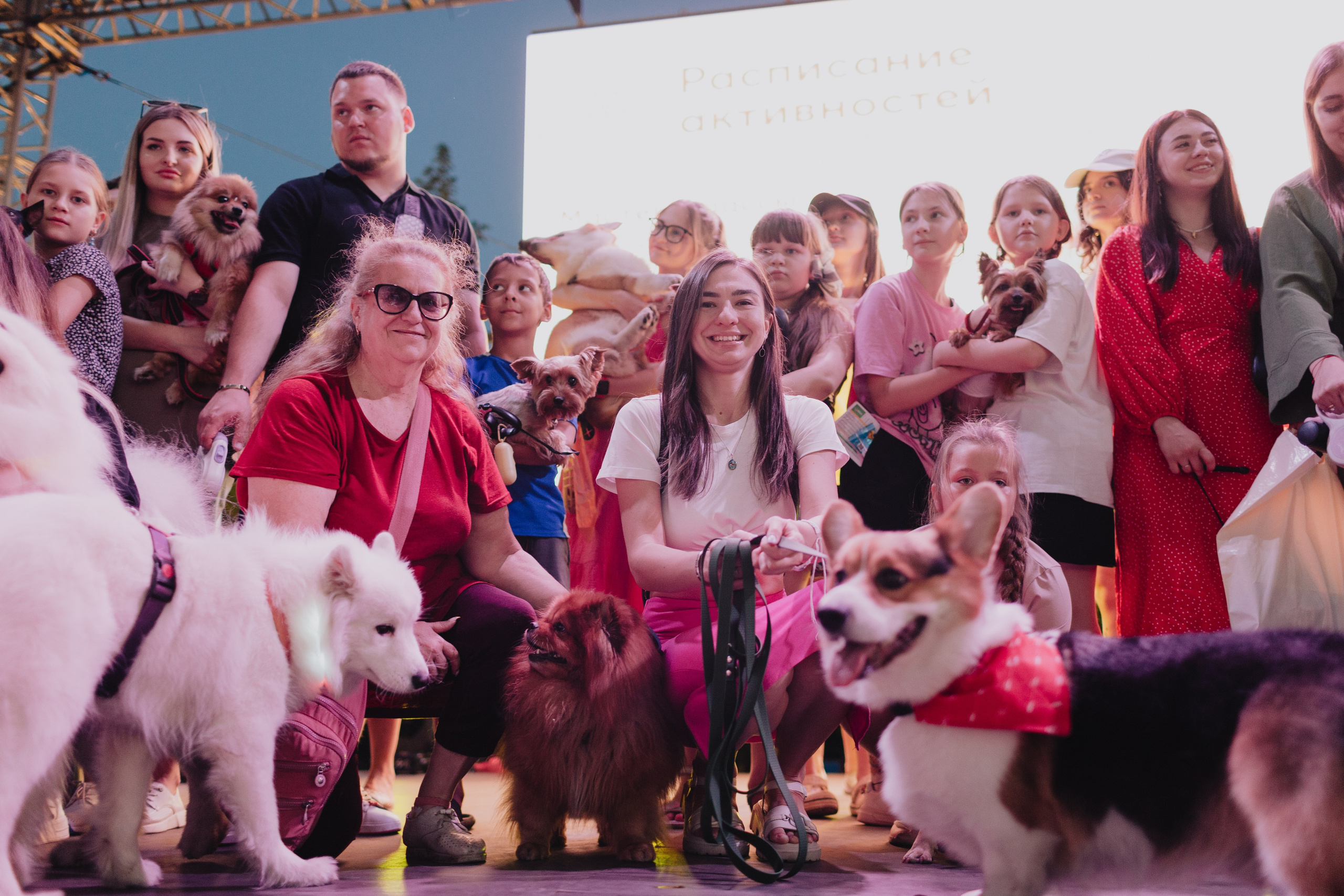 Dog Fest 2024. Главная