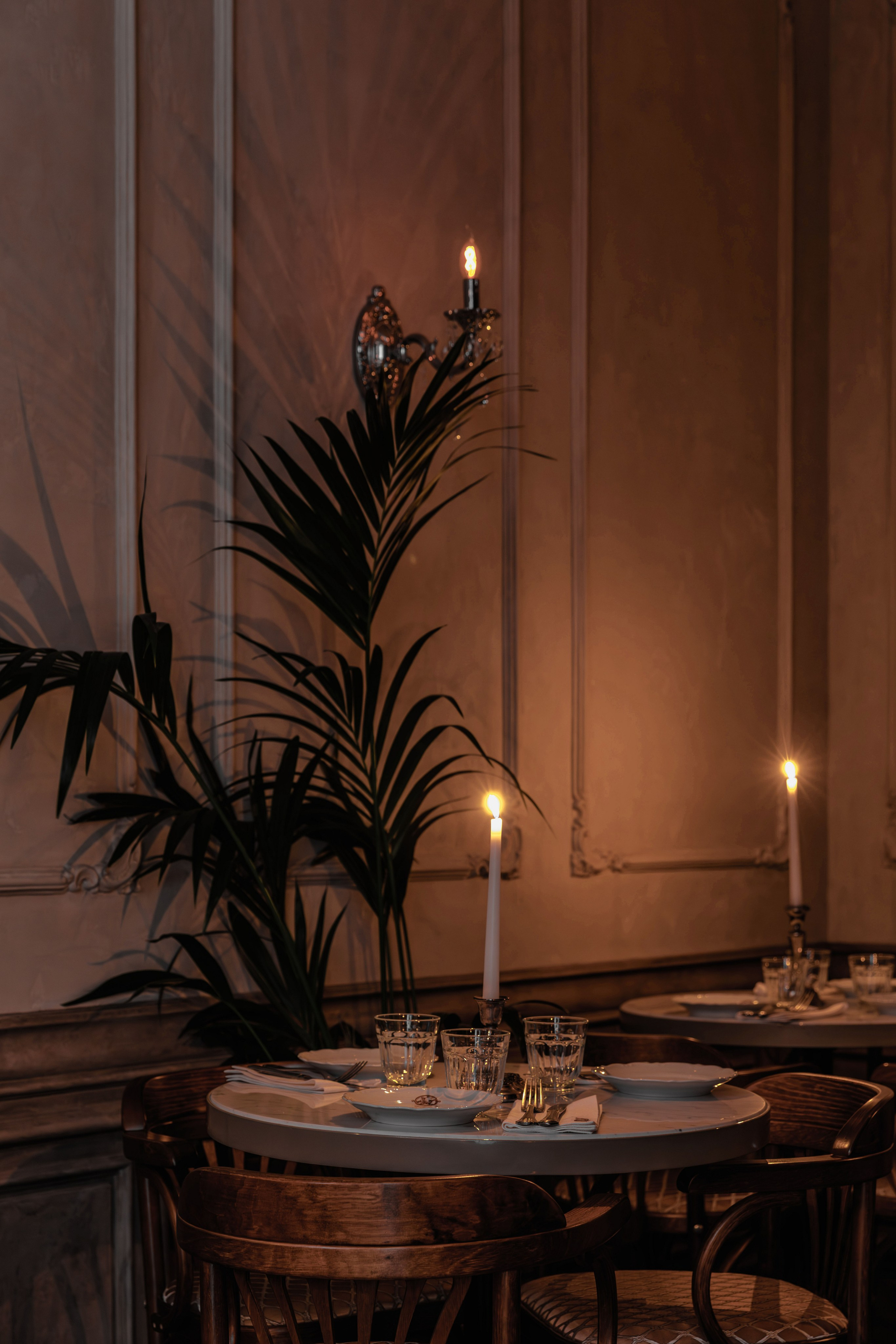 Медведь. Репортажный фотограф в Санкт-Петербурге Жолудев Владислав