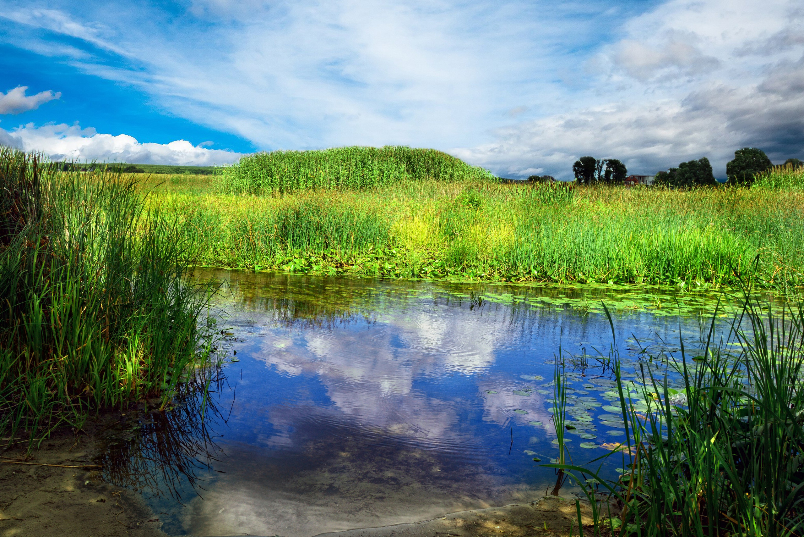 Природа. Главная