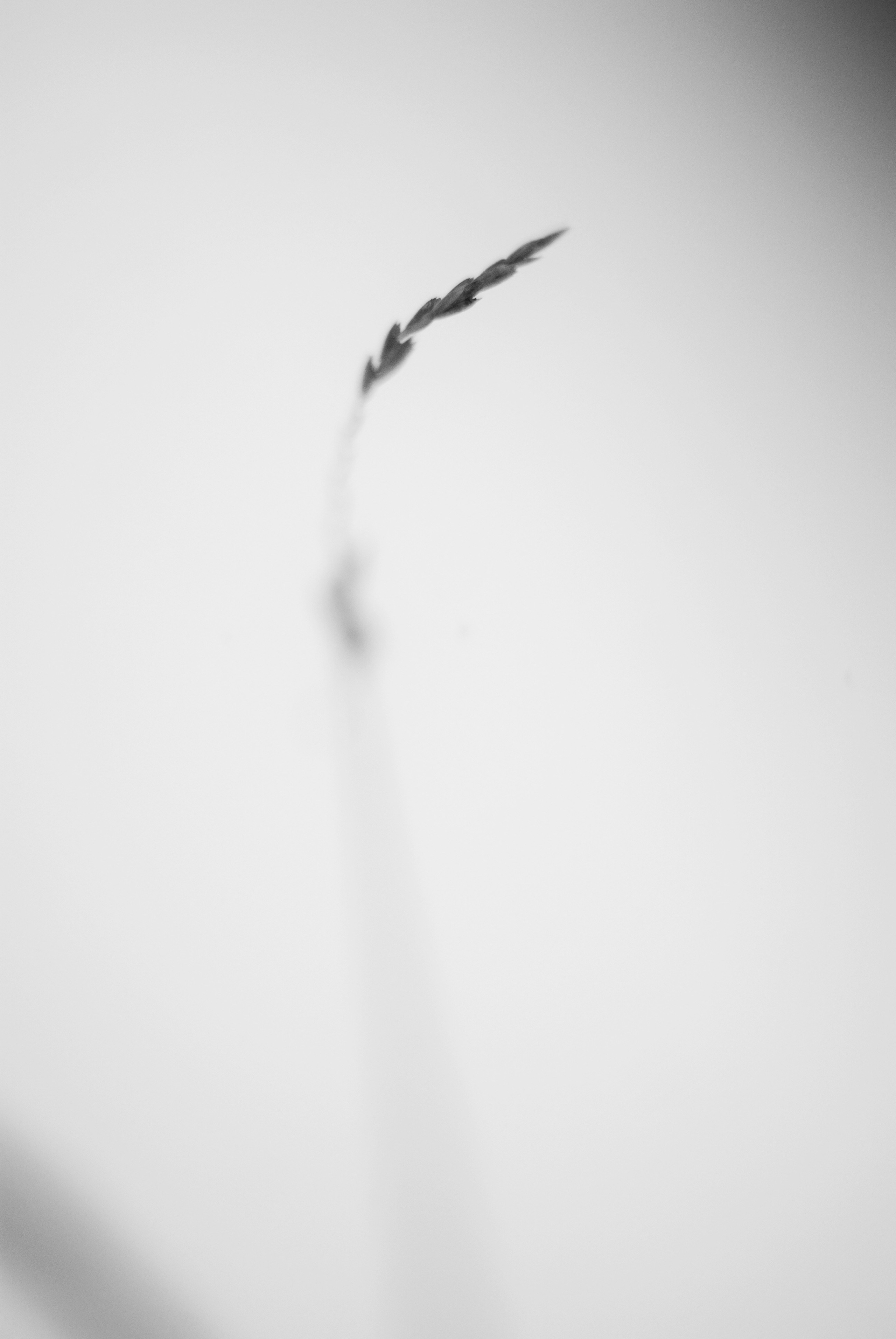 Внутривенные сны (2018-2023)