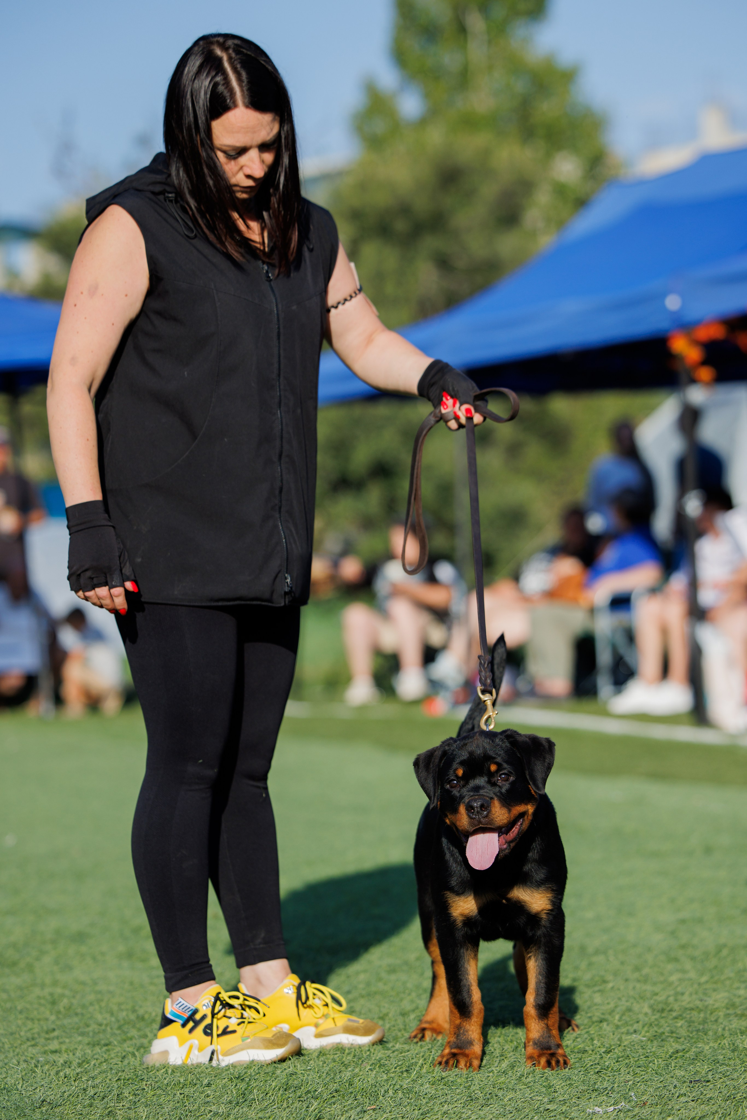 Анапа ротвейлеры 14-15.09.2024. Фотограф-анималист Юлия Германика