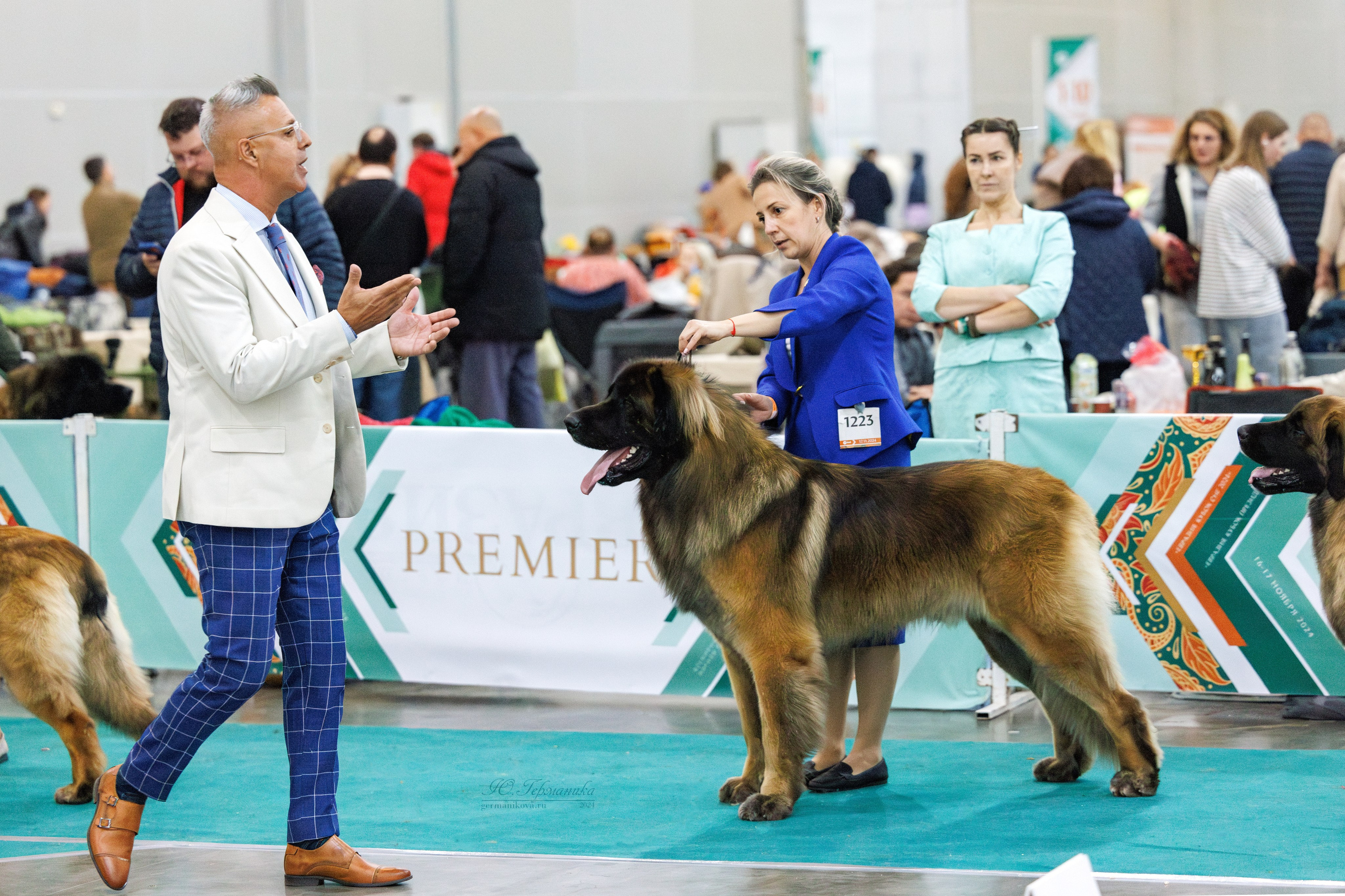 Евразия 16-17.11.2024. Фотограф-анималист Юлия Германика