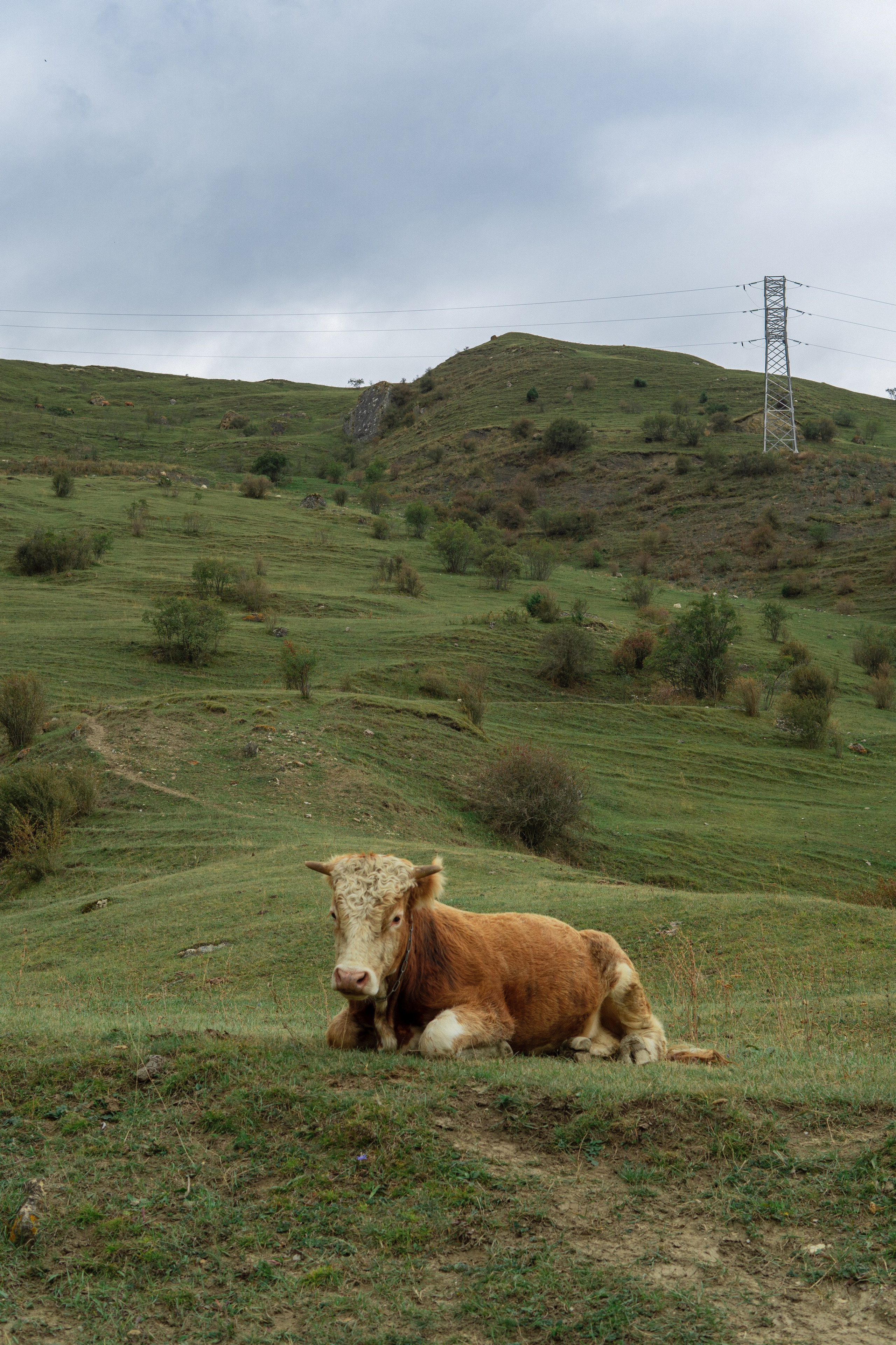 Киргизия пленка. Фотограф/видеограф Никита Дудин