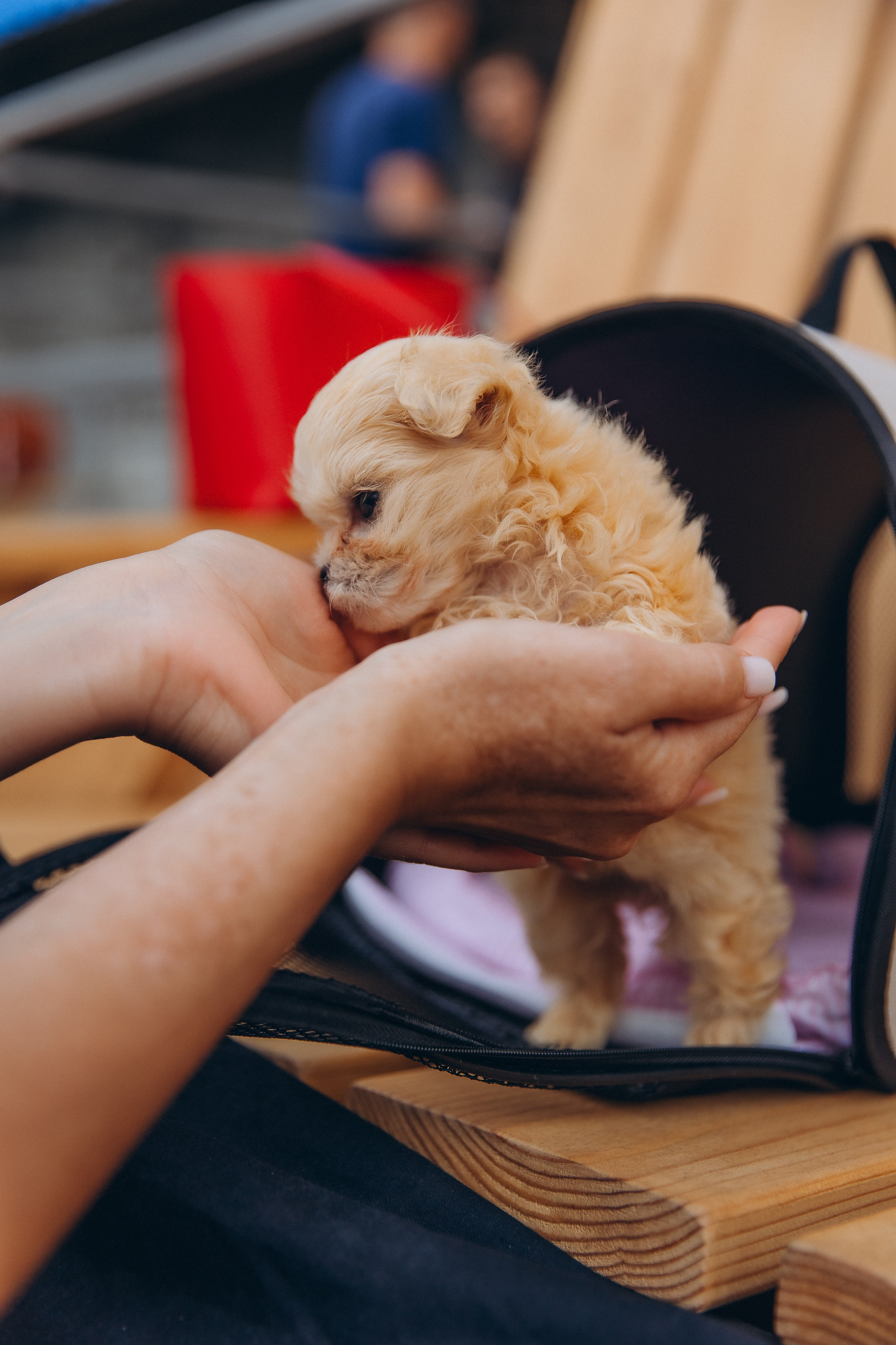 «IRON CUP» Турнир Новосибирского завода резки металла по большому теннису 2024. Фотограф Алина Ионычева в Новосибирске