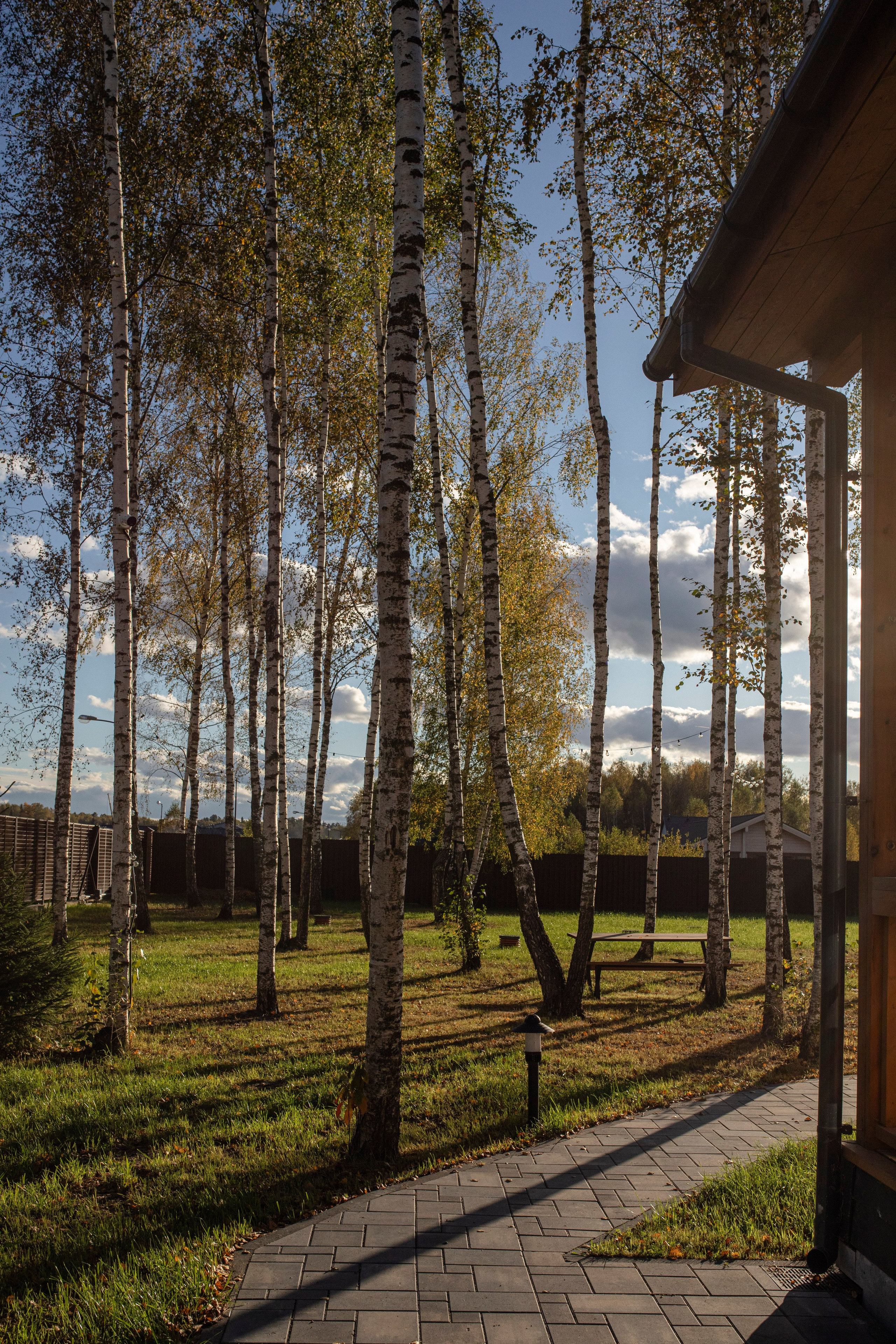 Брюгге. Ольга Пилант. АРТ, бэкстейдж, свадебная и семейная фотография, городской портрет, интерьерная фотография