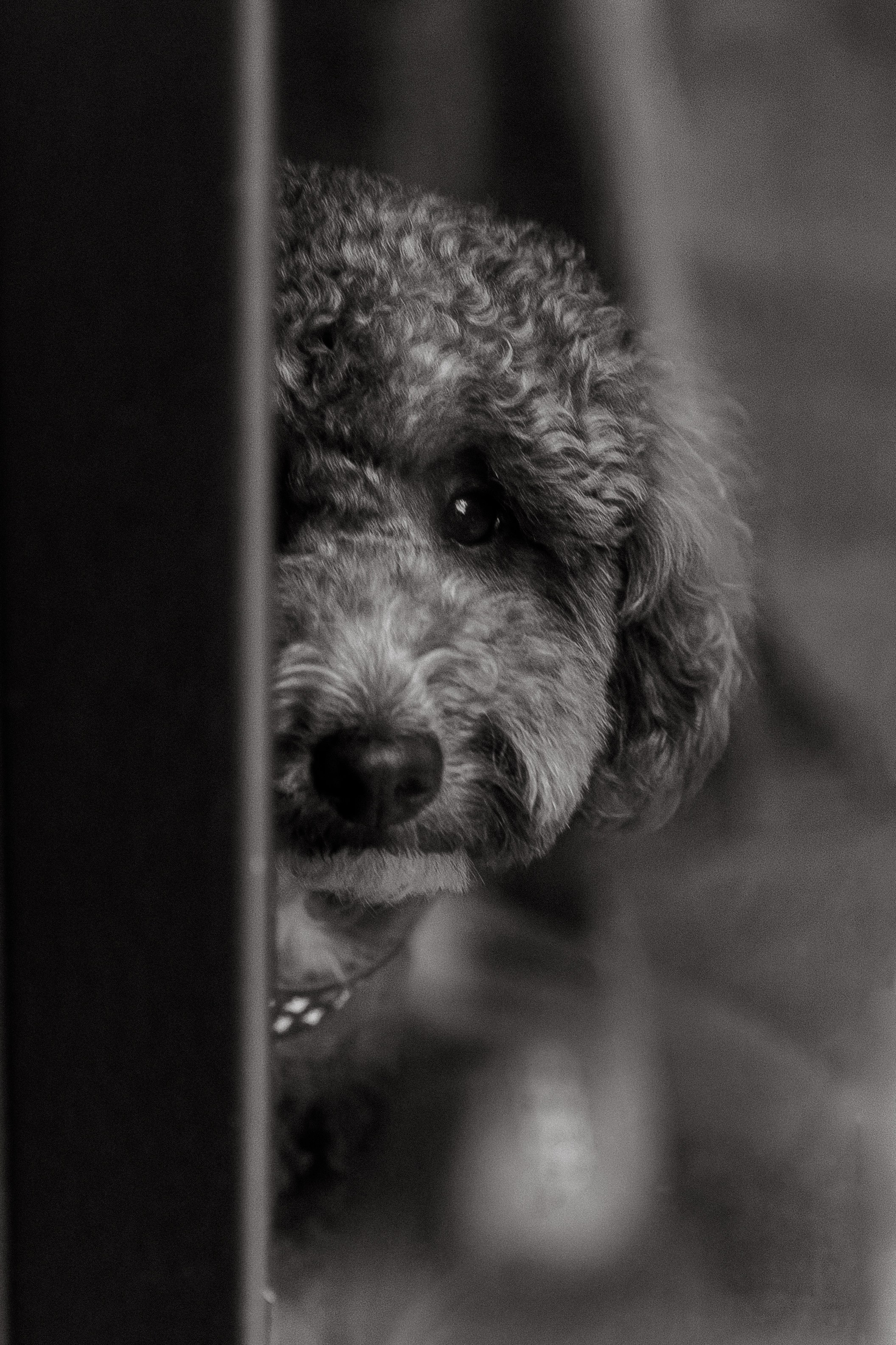 Вася & Настя. Свадебный фотограф Москва