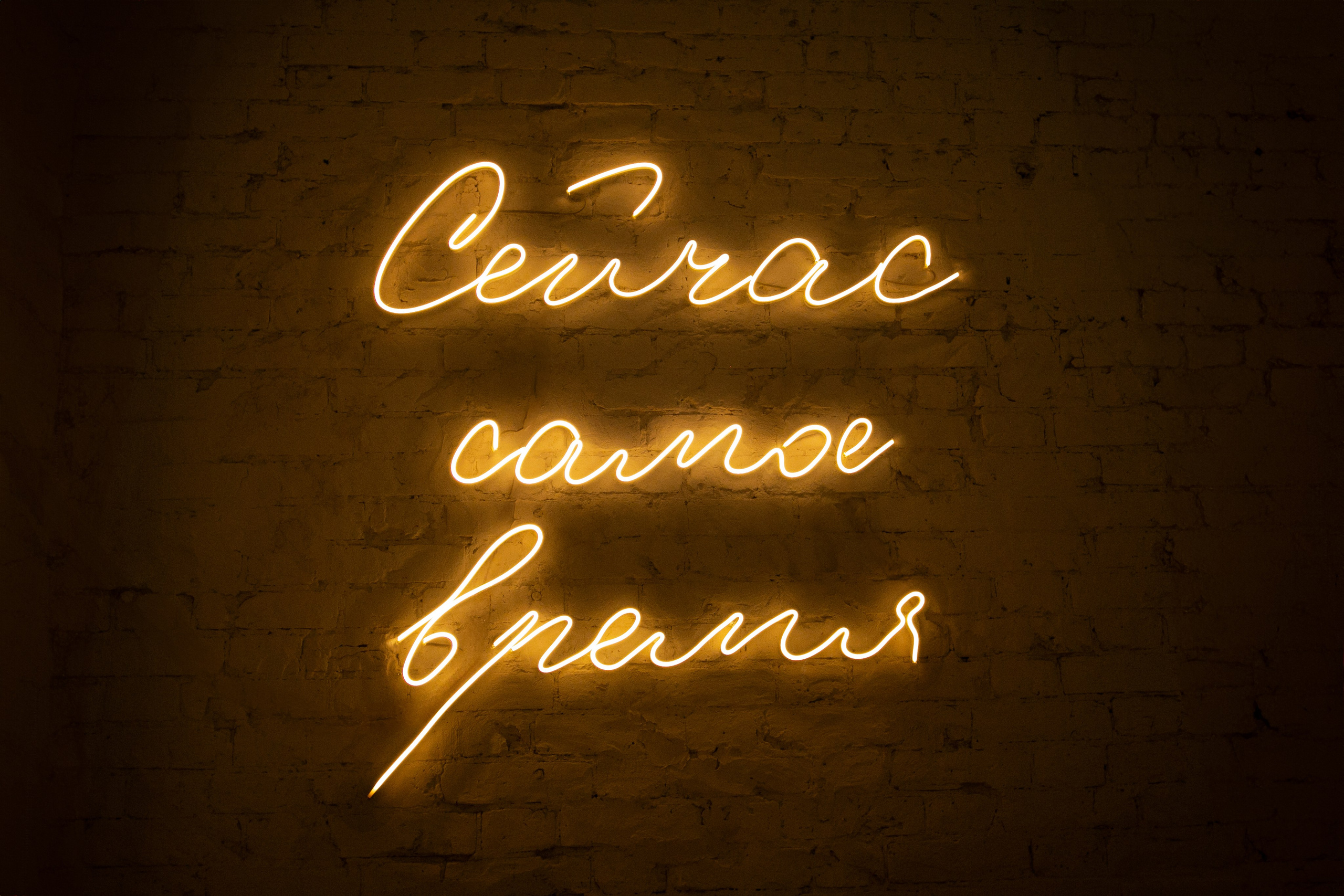 Дарья и Николай