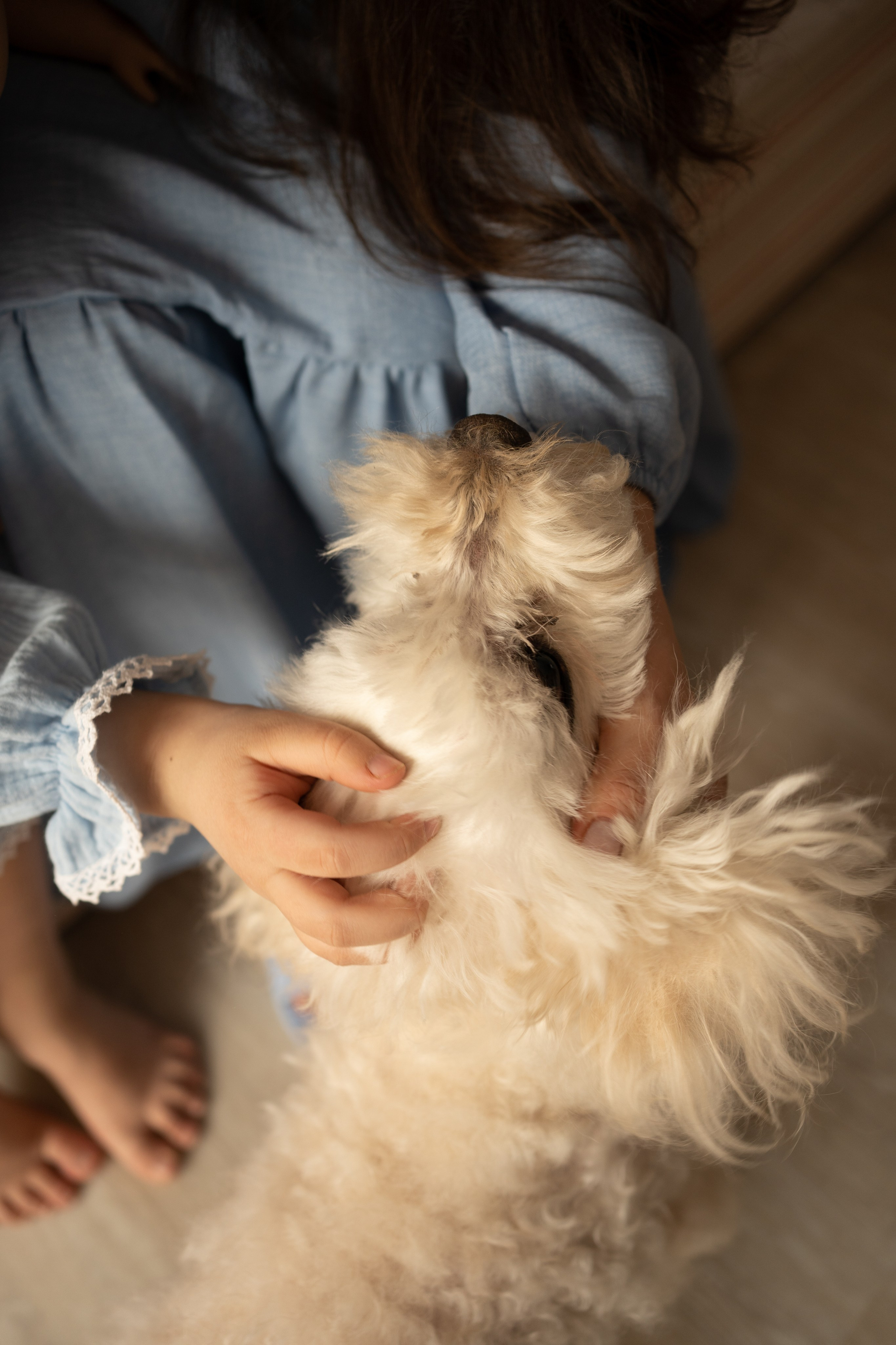 Семейная съёмка для Полины. Фотограф Катя Стрельцова