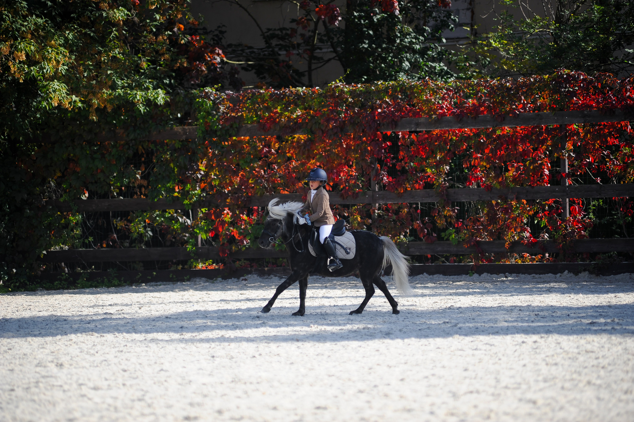 Конкур в конном клубе, репортаж Москва. Фотограф, визажист. Москва