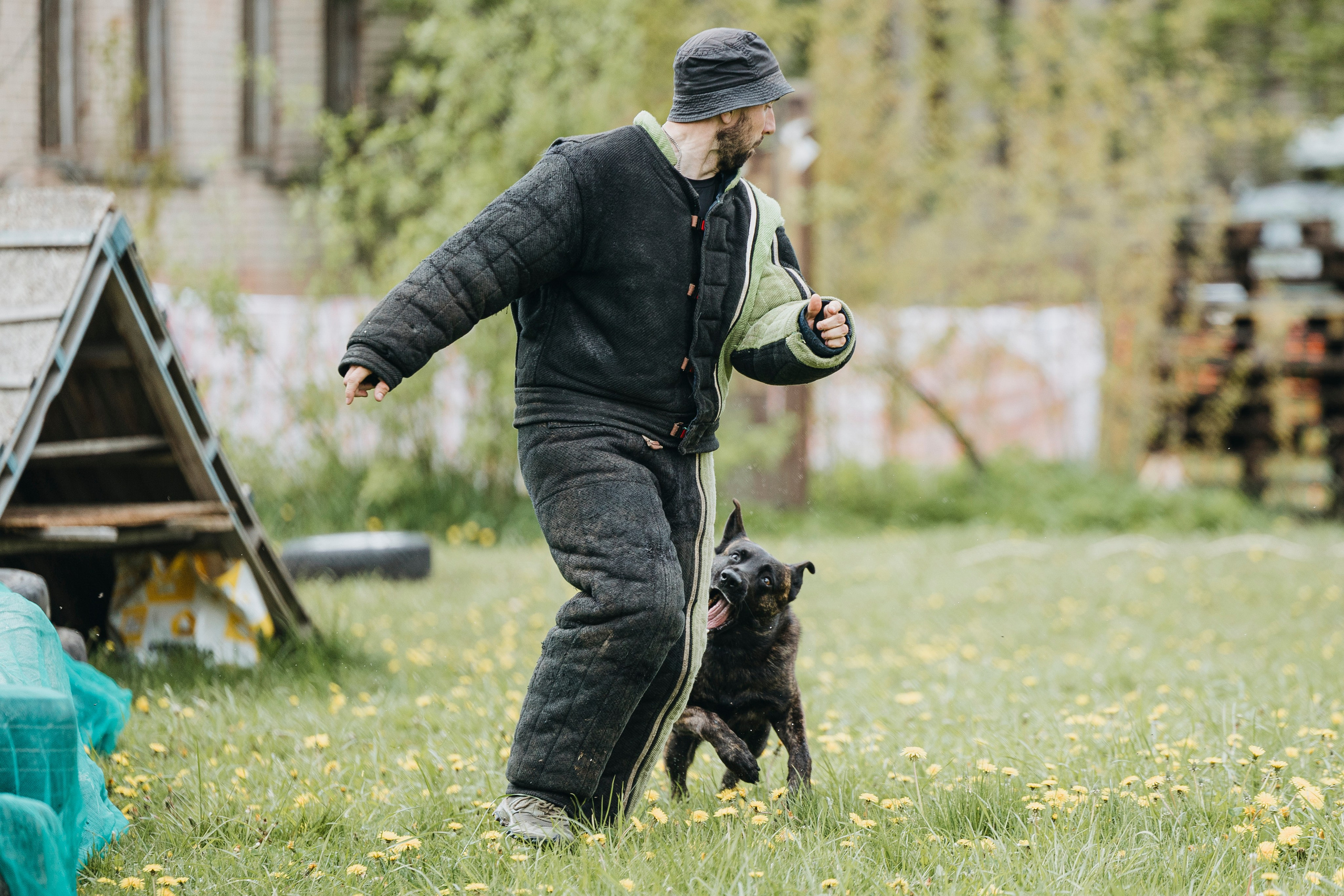 26.05.25 г. Пушкин квалификационные соревнования. Фотограф-анималист Анна Маринич
