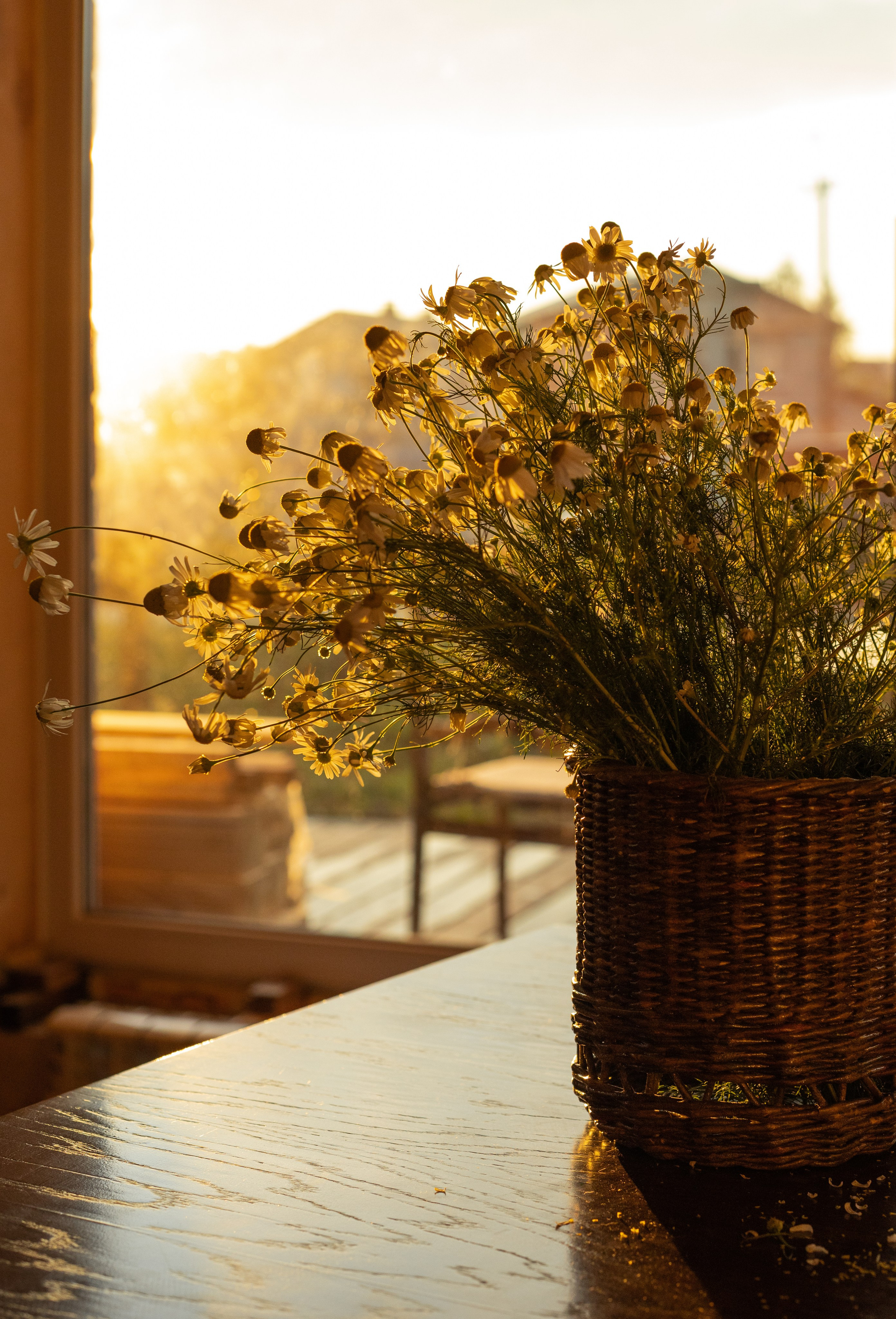 Евгений с семьей. Главная