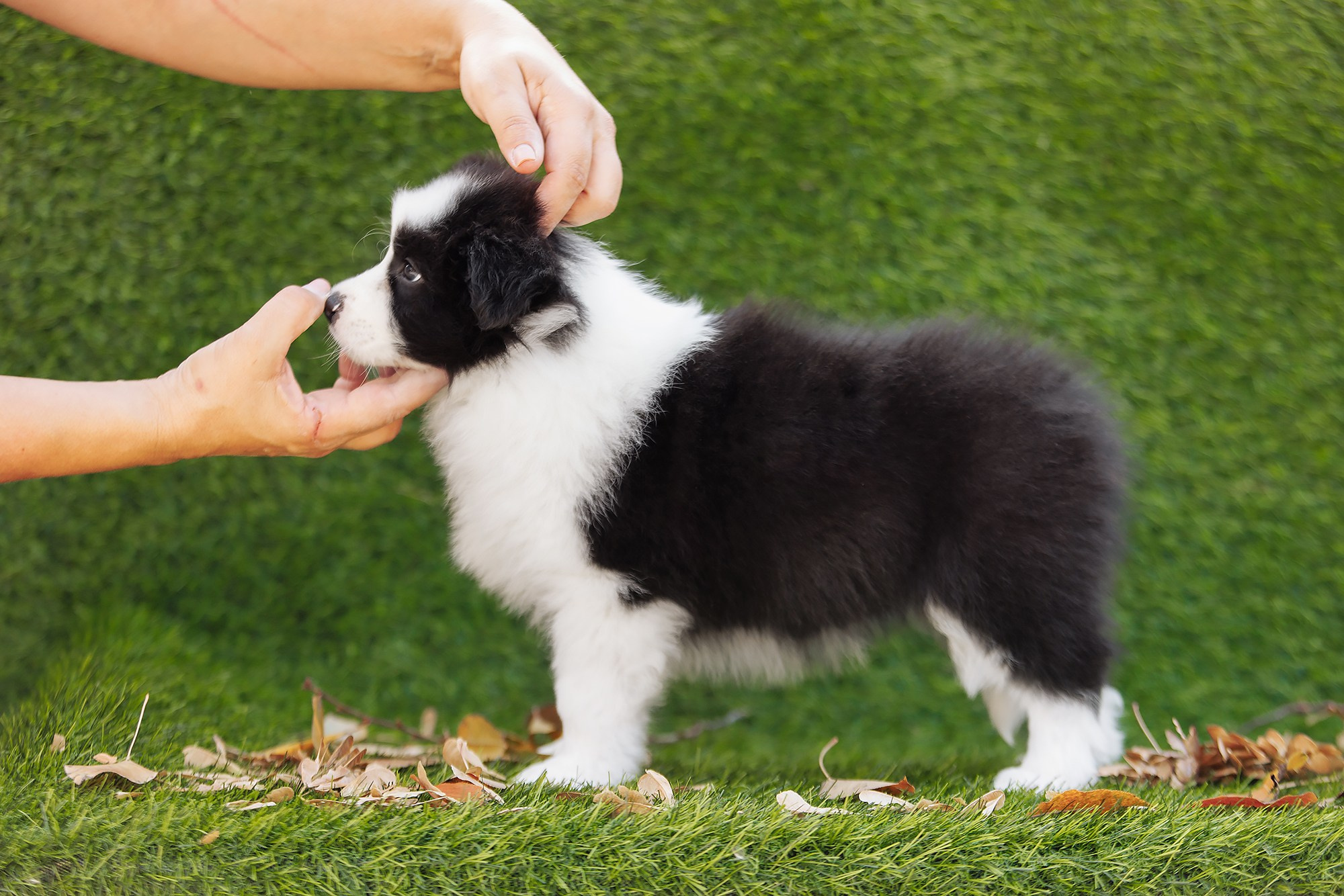 Новый лист. О нас