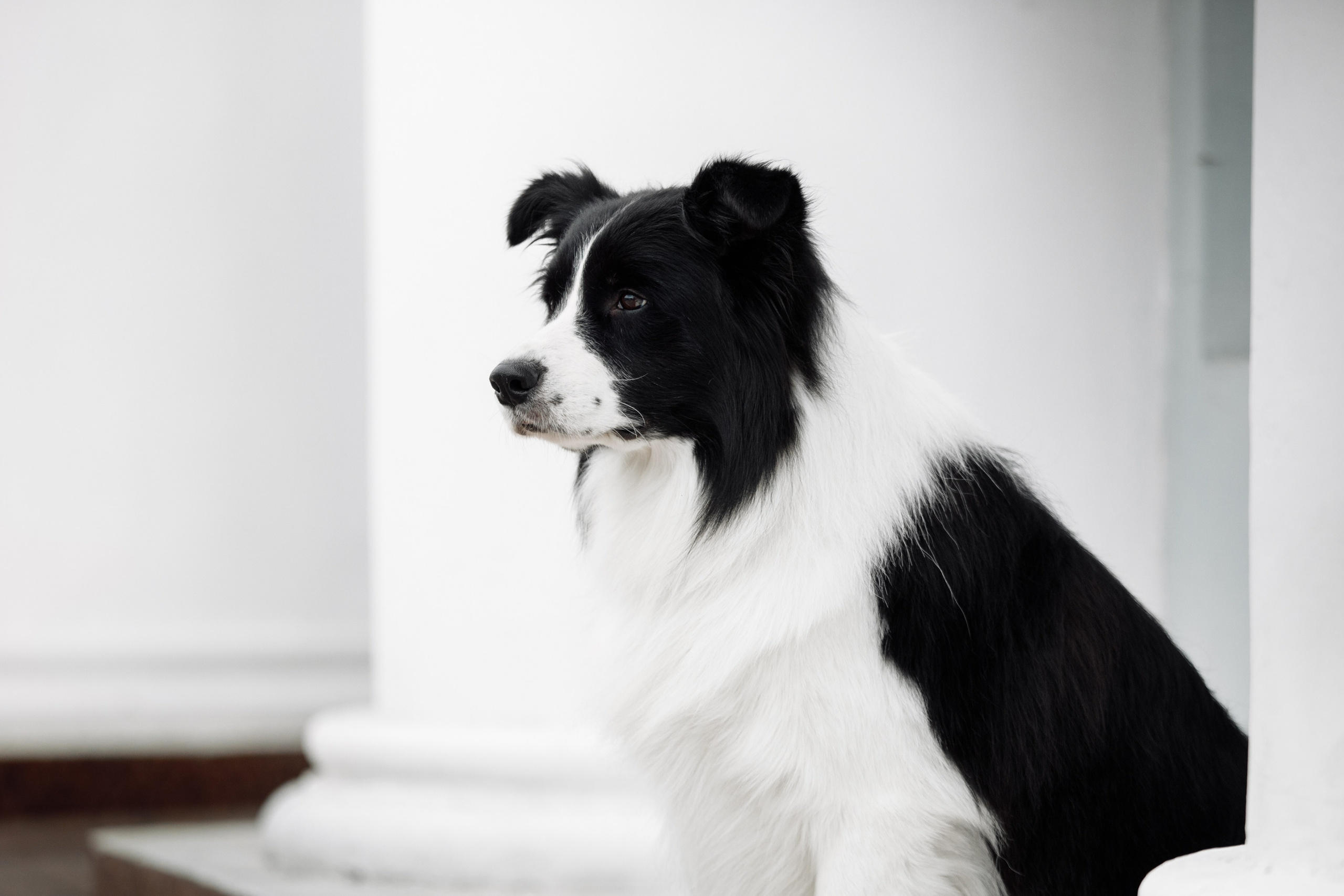 Казань. О нас