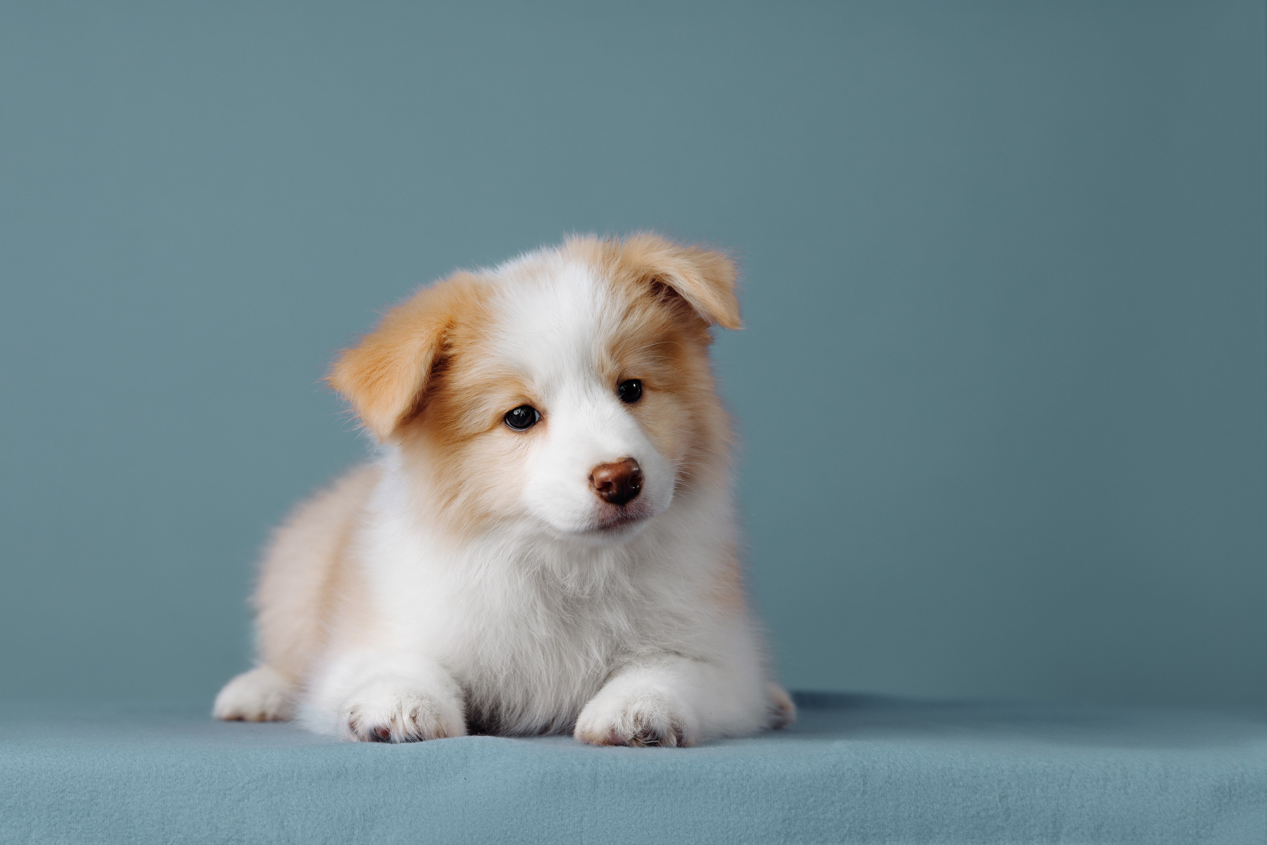 Март. Весна. 22. О нас