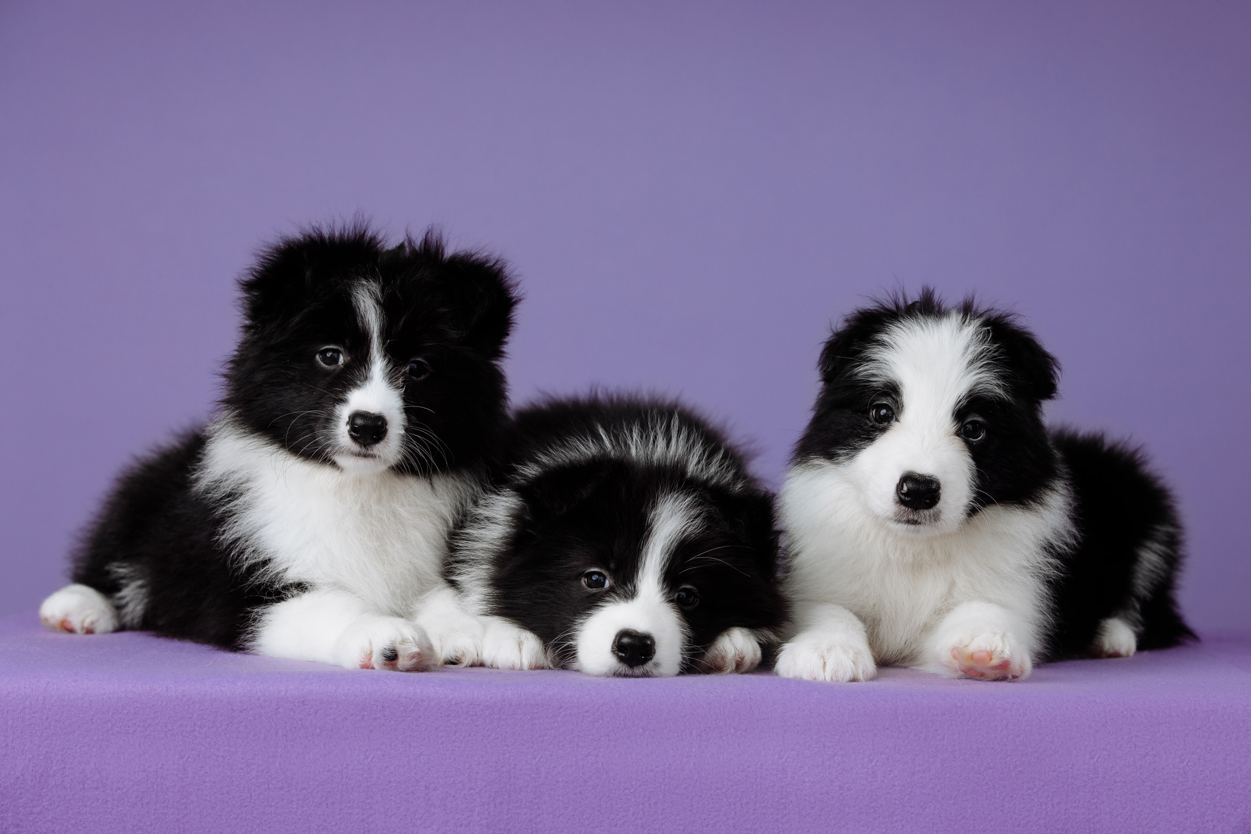 Март. Весна. 22. О нас