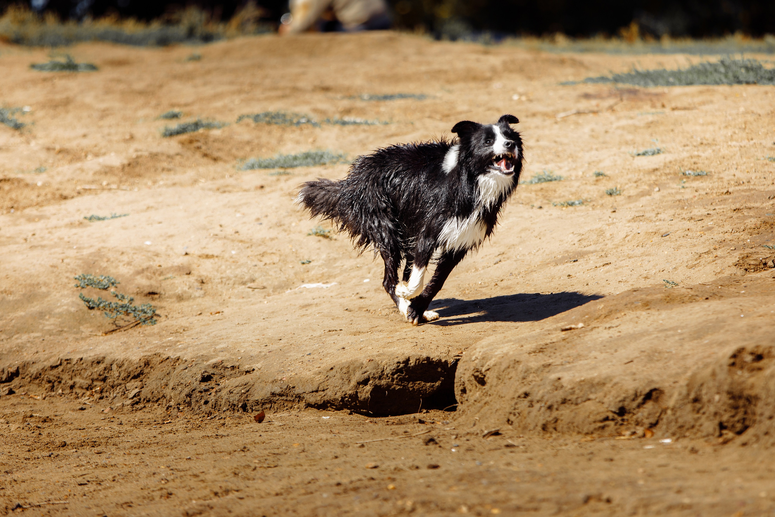 Водяные в Новотроицке. О нас