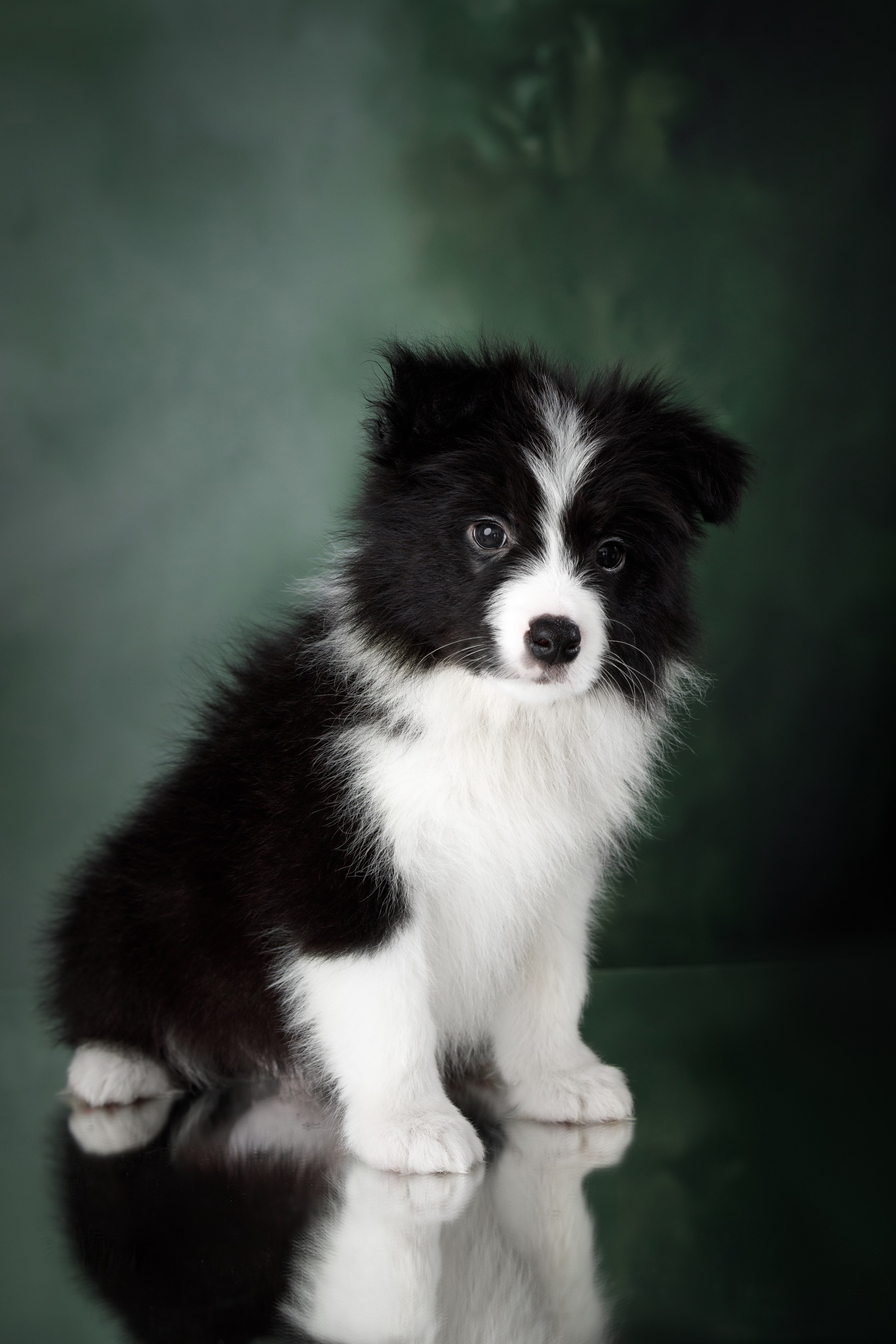 Март. Весна. 22. О нас