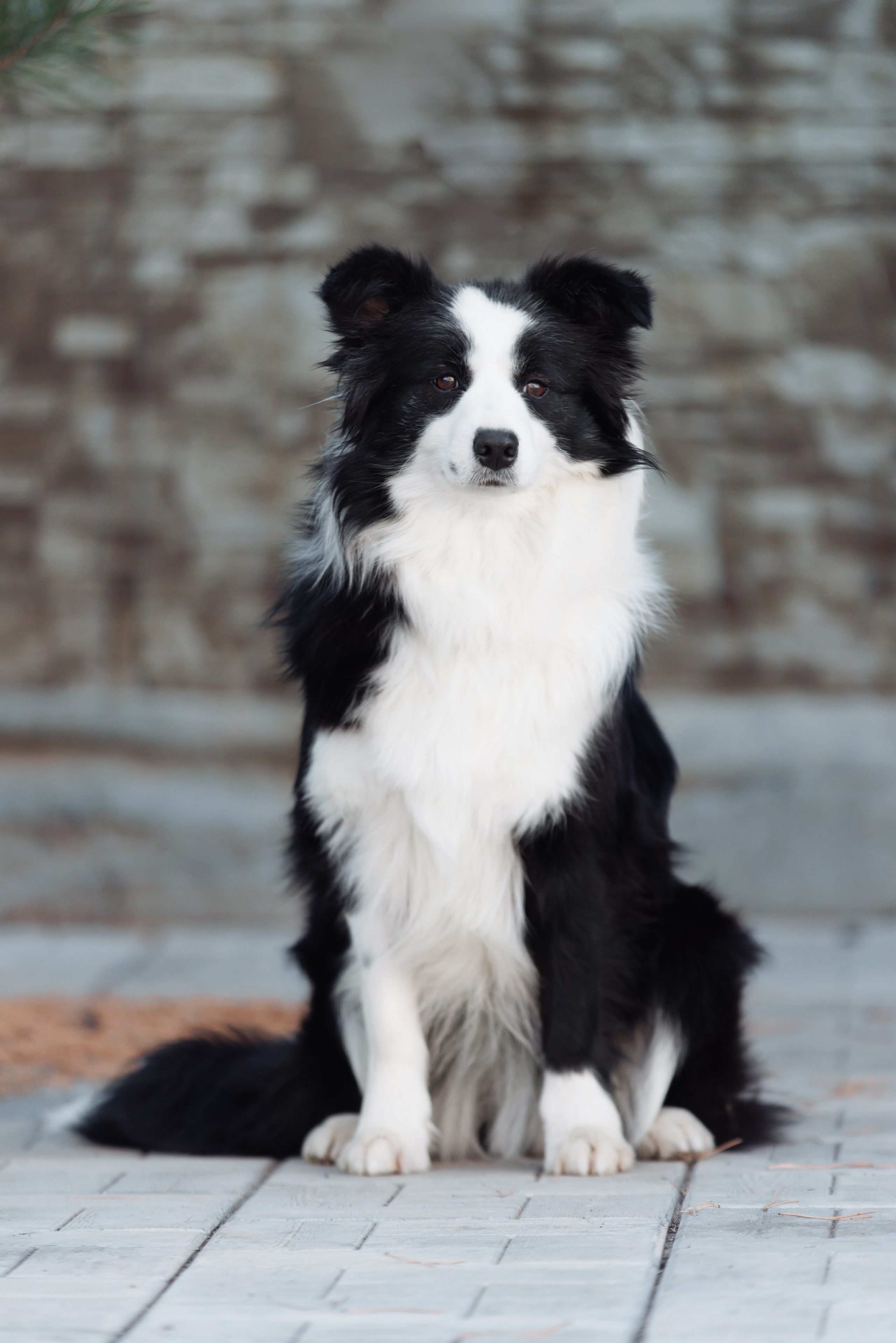 У дома с большой компанией от мала до велика. О нас