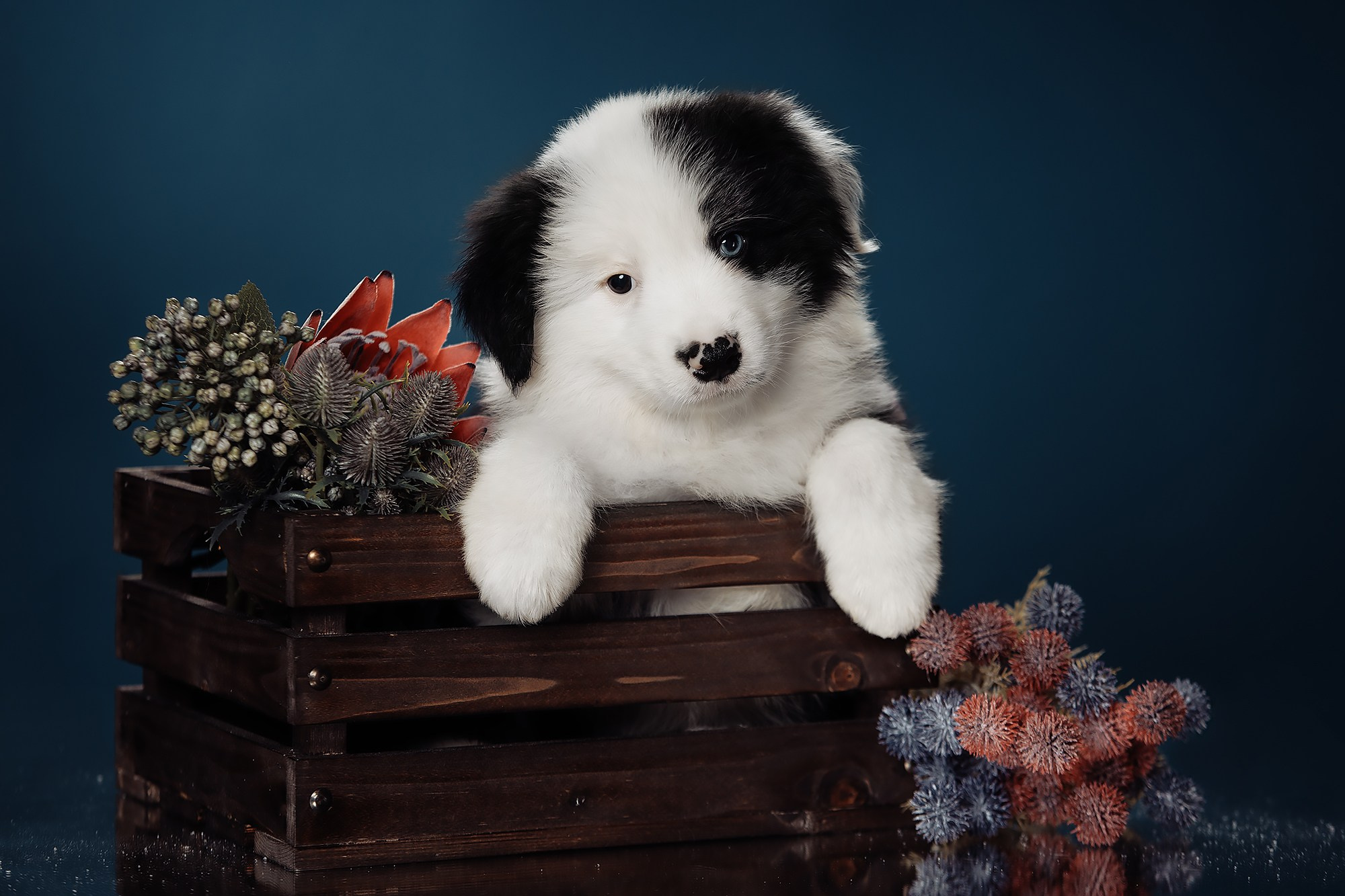 Синева. О нас