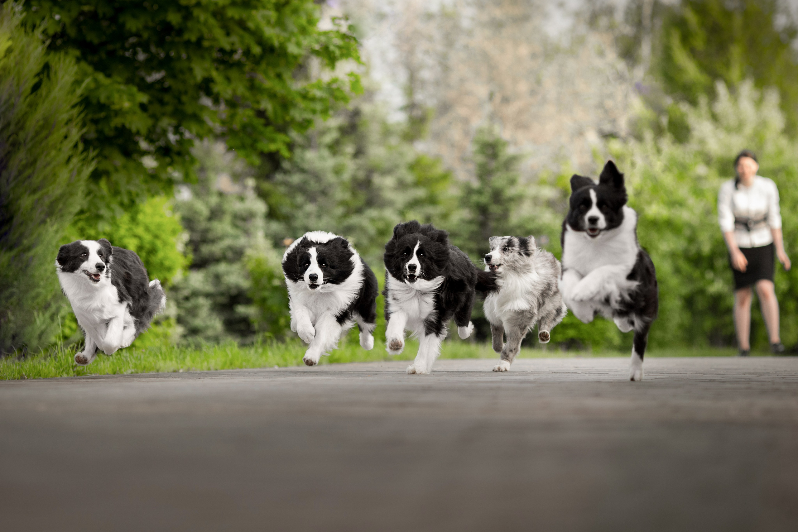 Роскошь в ростошах. О нас