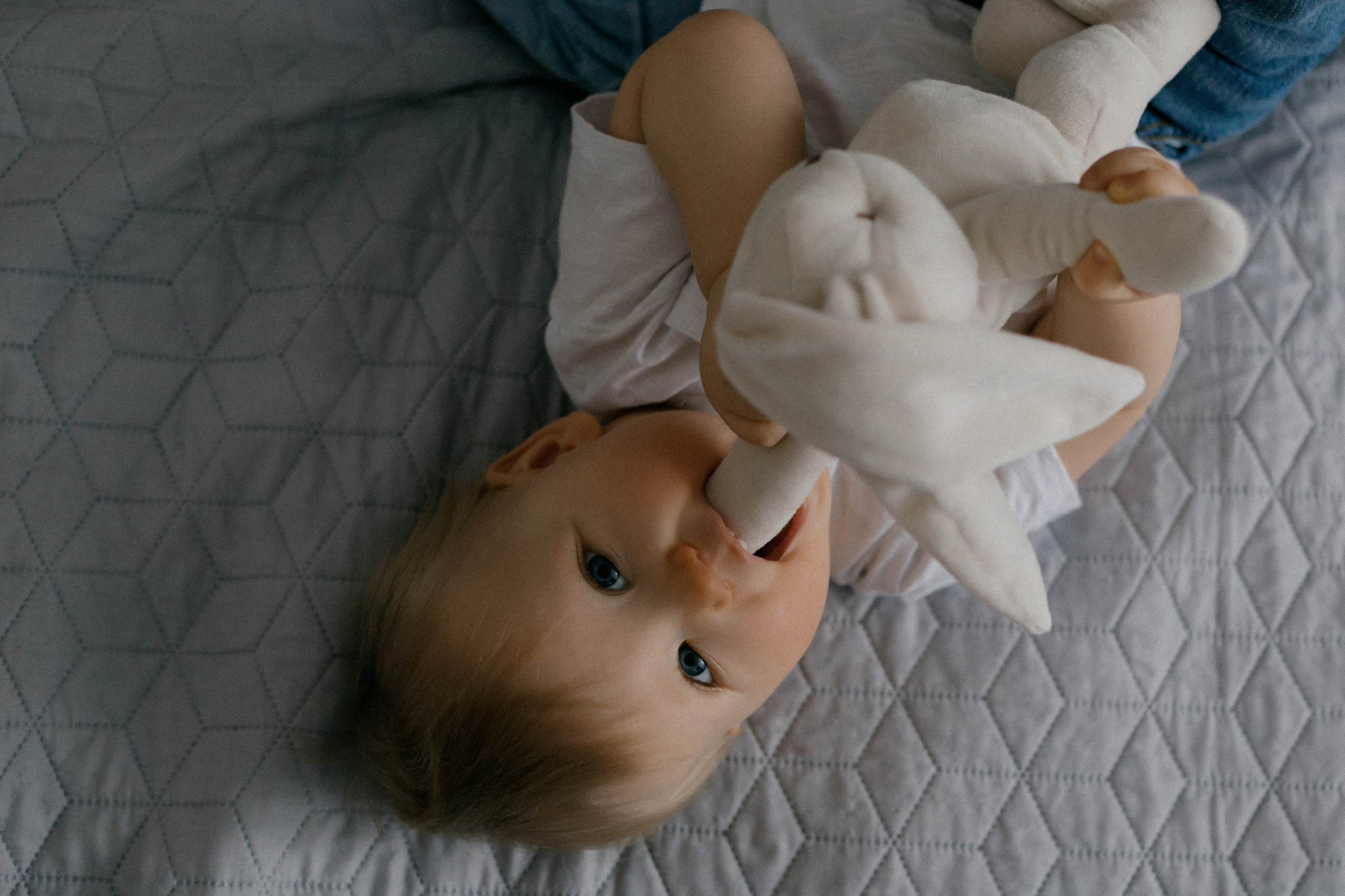 Домашняя. Семейный фотограф в Нижнем Новгороде Куренкова Юлия