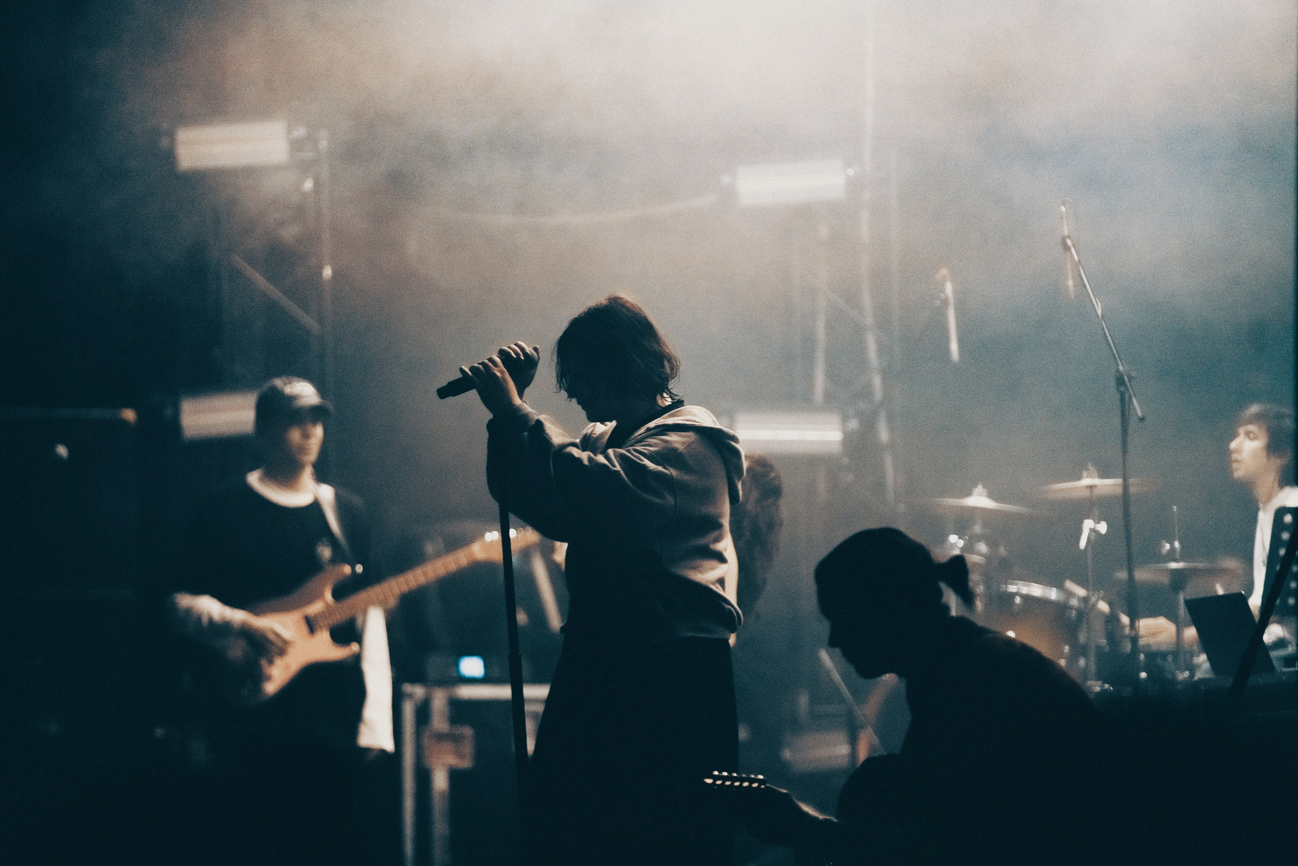 SALUKI. PASHAHARCE PHOTOGRAPHER & VIDEOGRAPHER