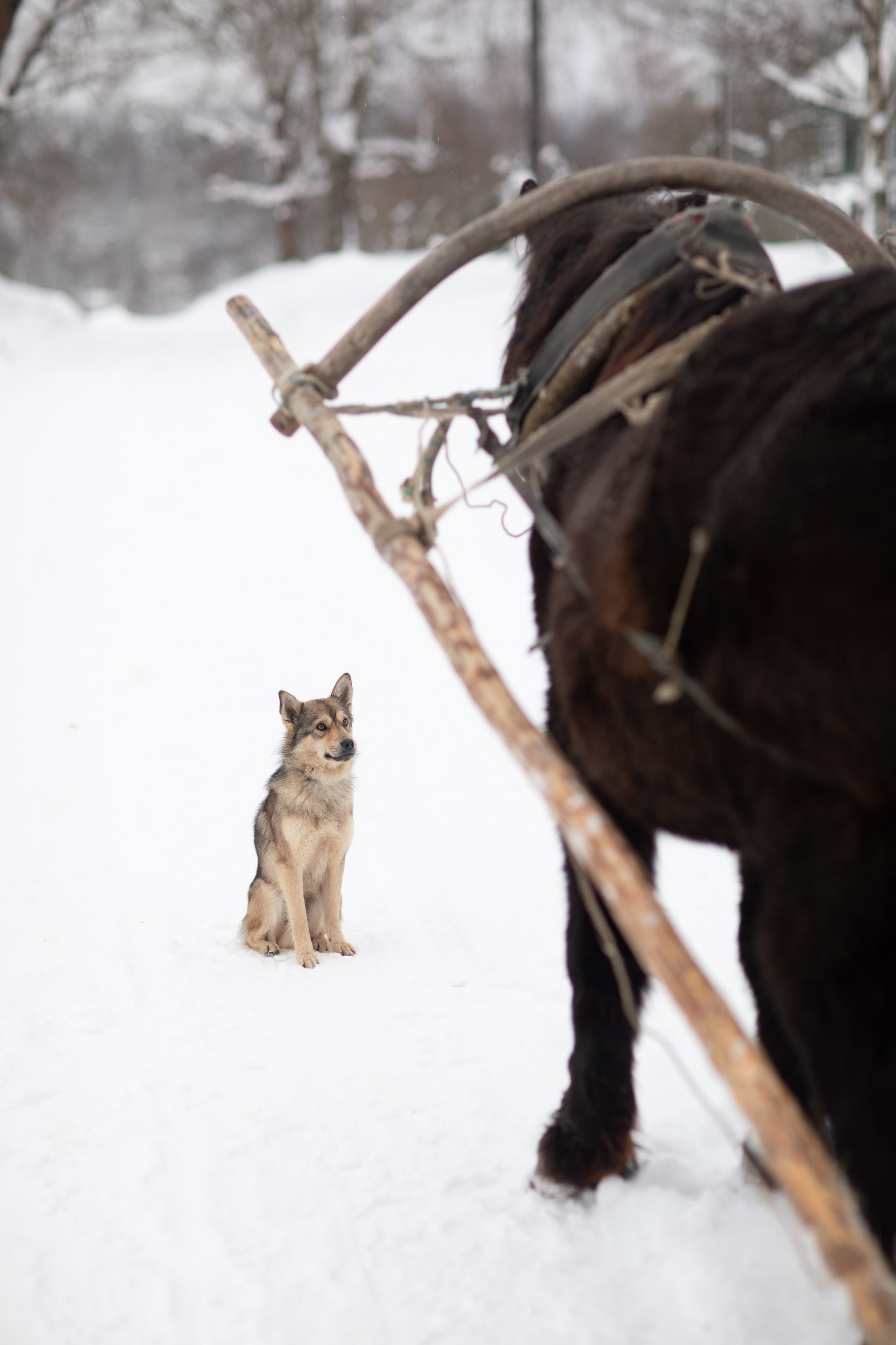 Фототур «Край озер» Зима. Семейный фотограф в Москве Анастасия Гурьянова