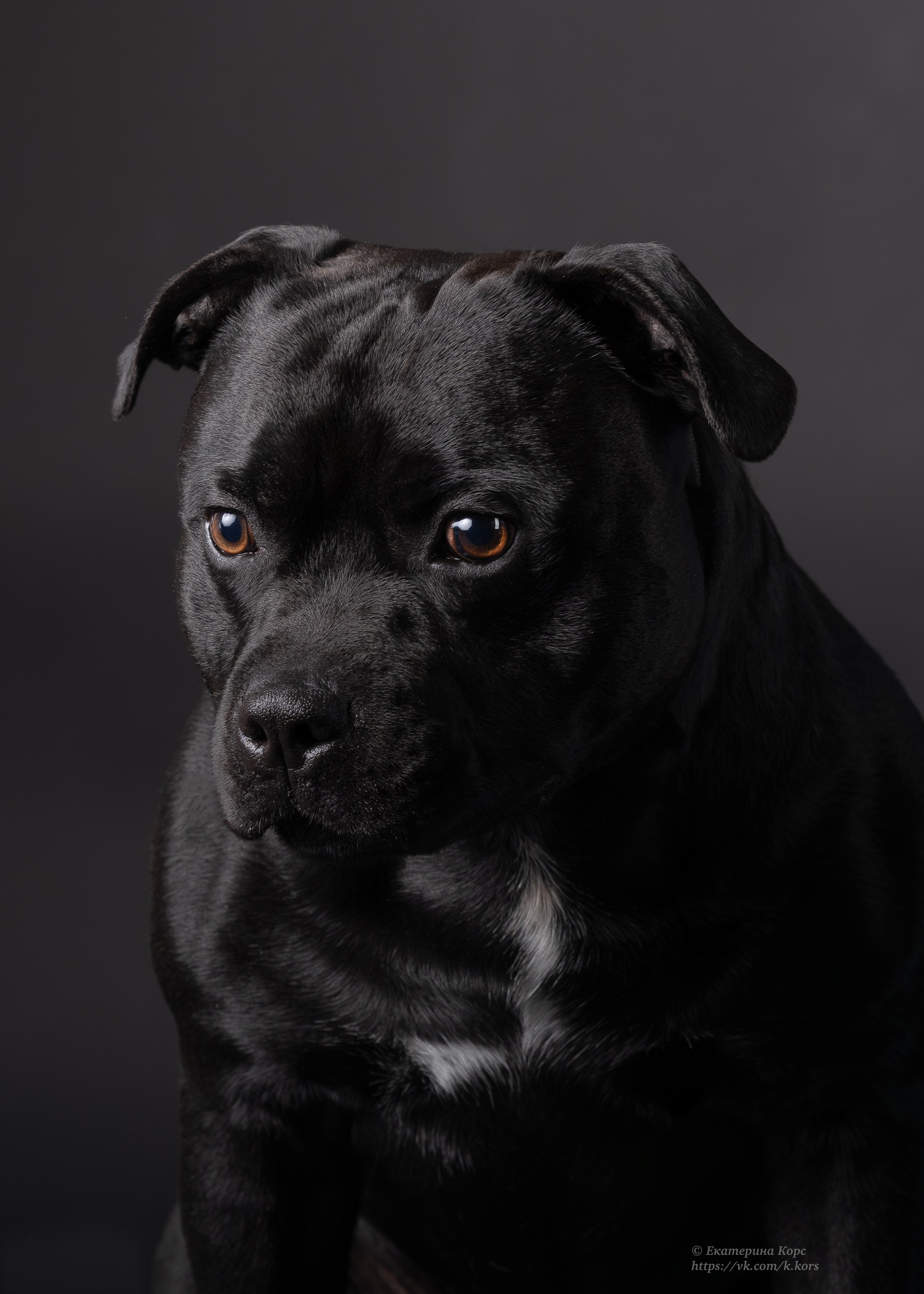 Студия. Главная