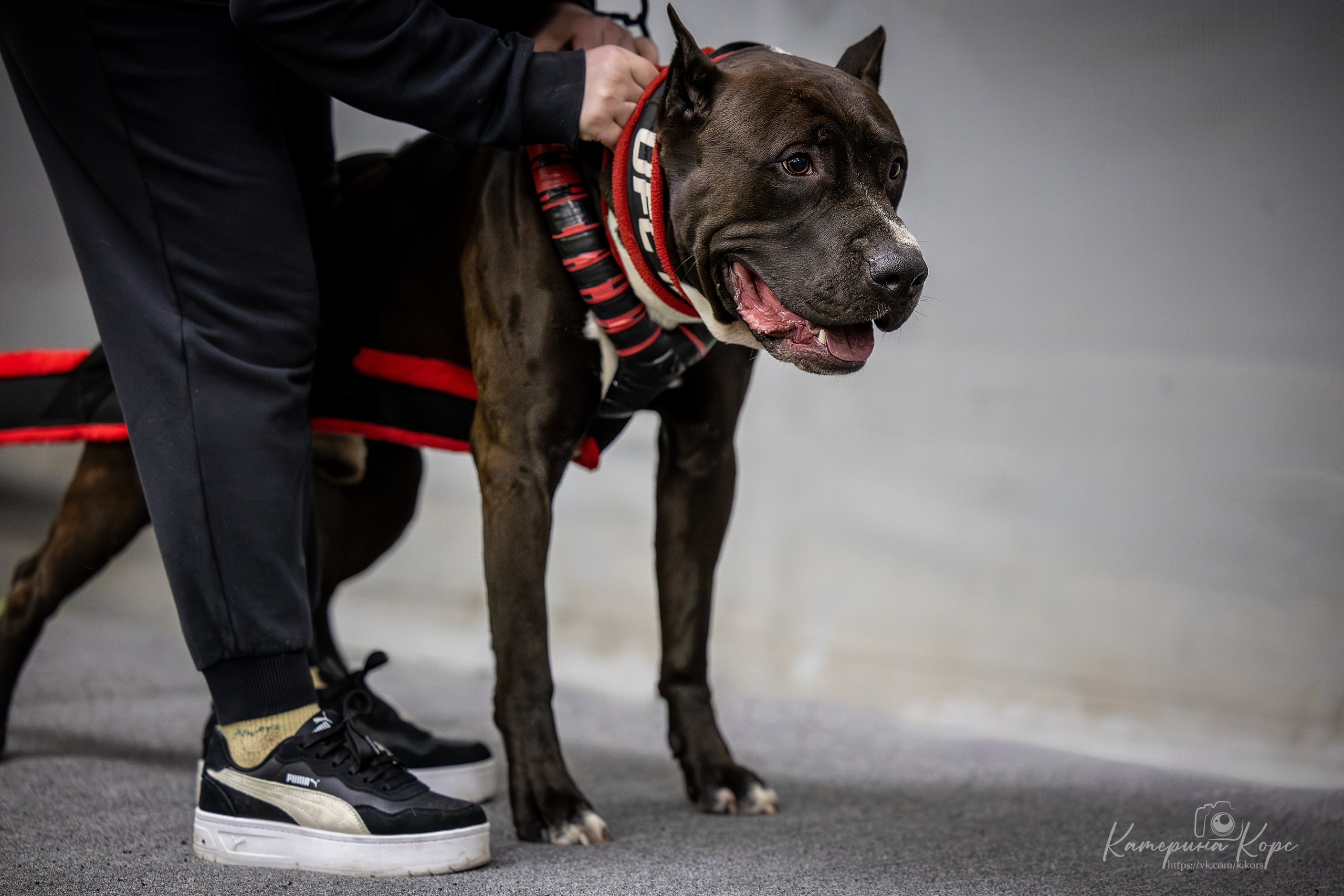 Спорт. Главная