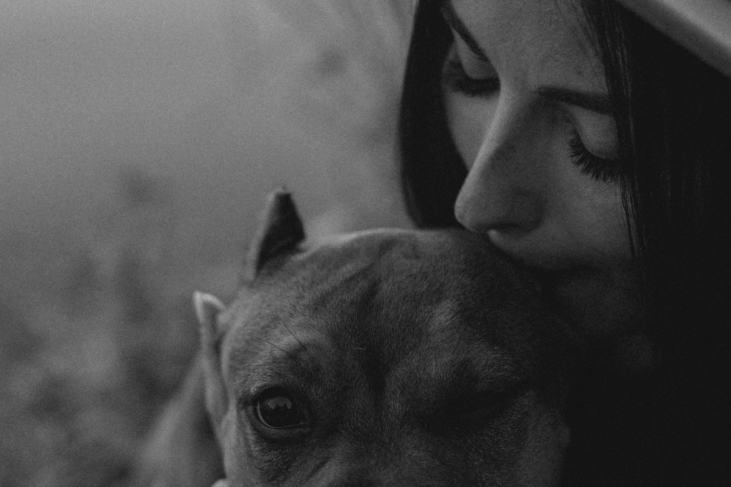 Кристина и Эфи. Фотограф анималист в Москве и Санкт-Петербурге Свиридова Анна