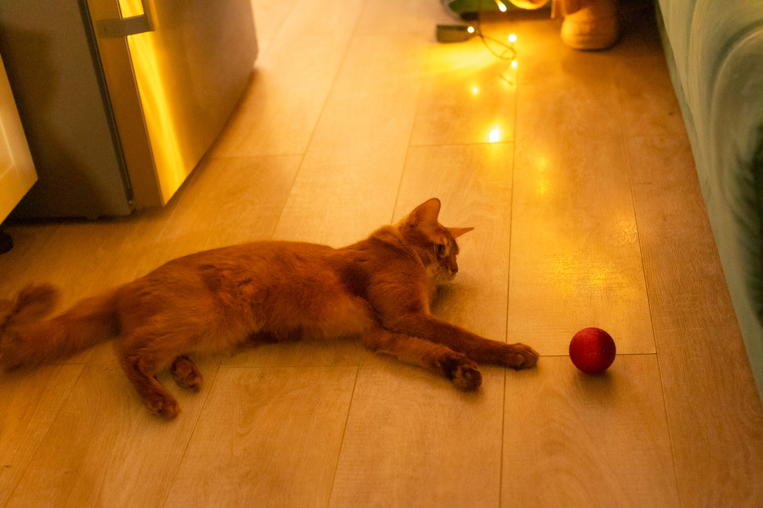 Сомали. Art my Pho