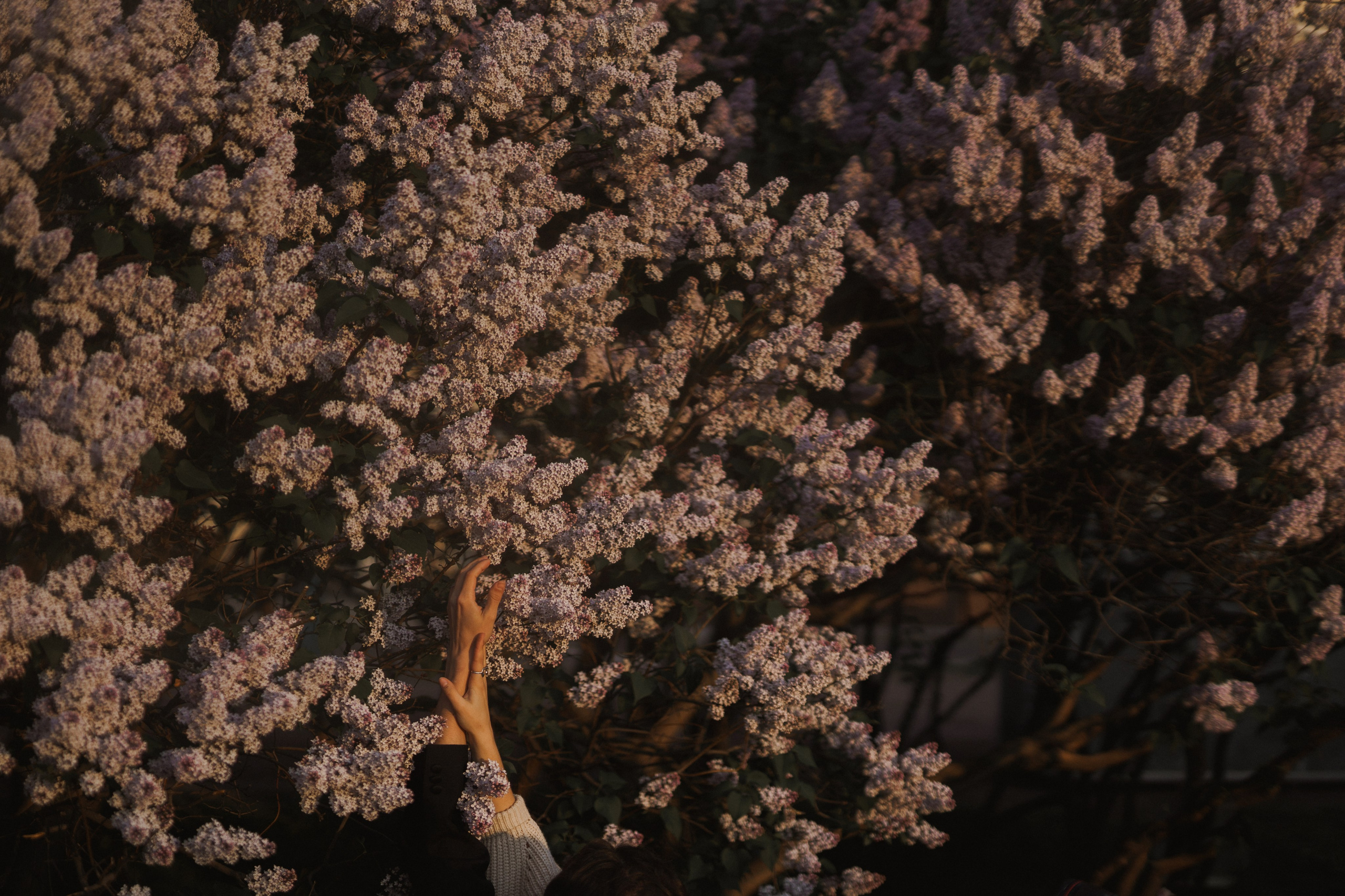 Love in St. Petersburg. Свадебный фотограф Решетников Дмитрий