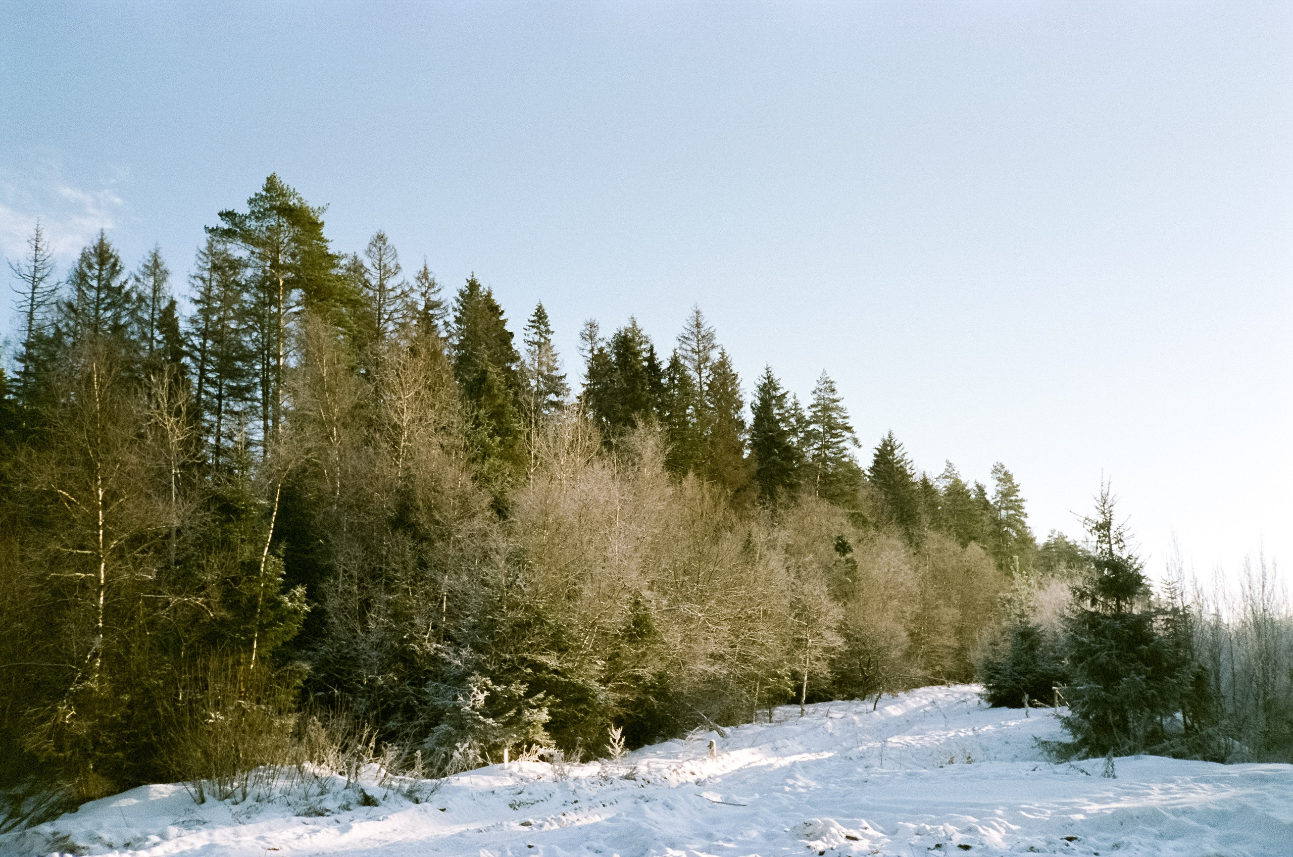 Chinon Auto 3001 (2) / Fuji Eterna 250D (ISO 100) / Давыдовское, Лукин