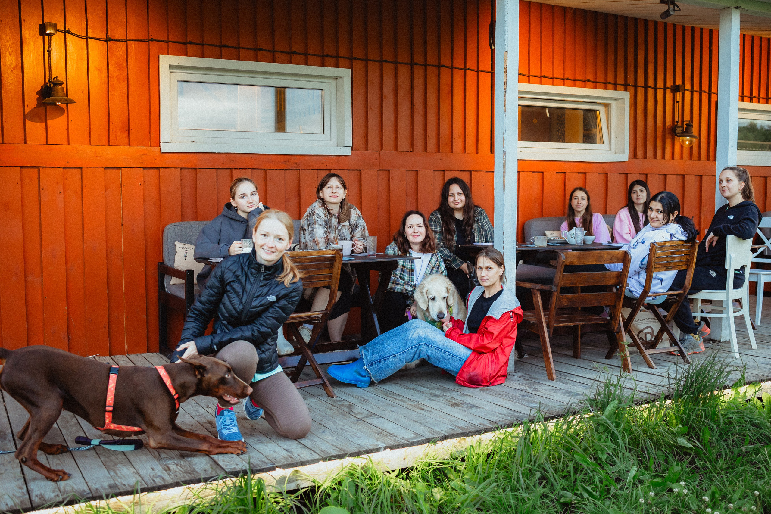 Выездной дог-тренинг от школы «Шерсть имею»