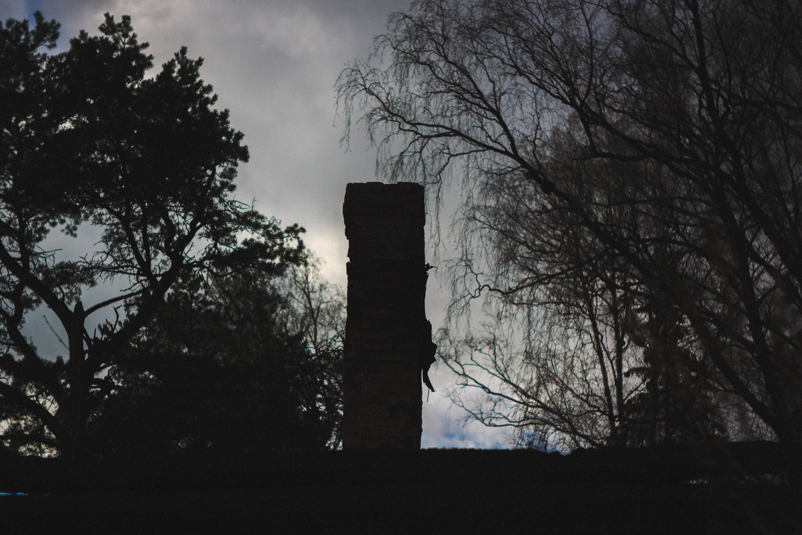 Деревня. Den Mirov — Photographer, Musician