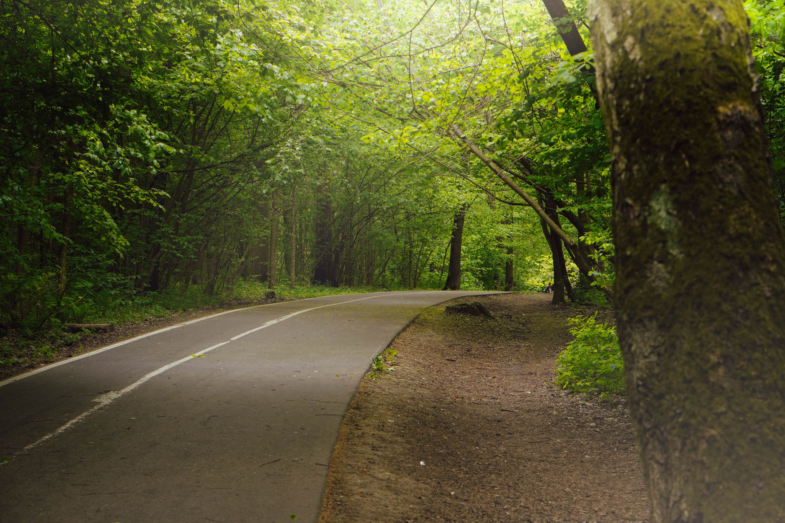 Уличная съёмка (2). Видео и Фото