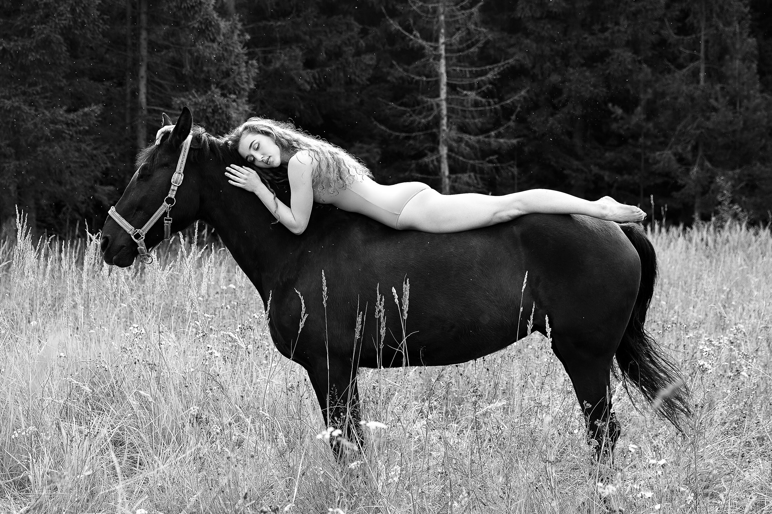 Фотопроекты и съемки на природе, с лошадьми, самолетами и авто. Выездная фотосессия. Фотограф, фотопроекты Михаила Семенова в Ярославле. Фотошкола