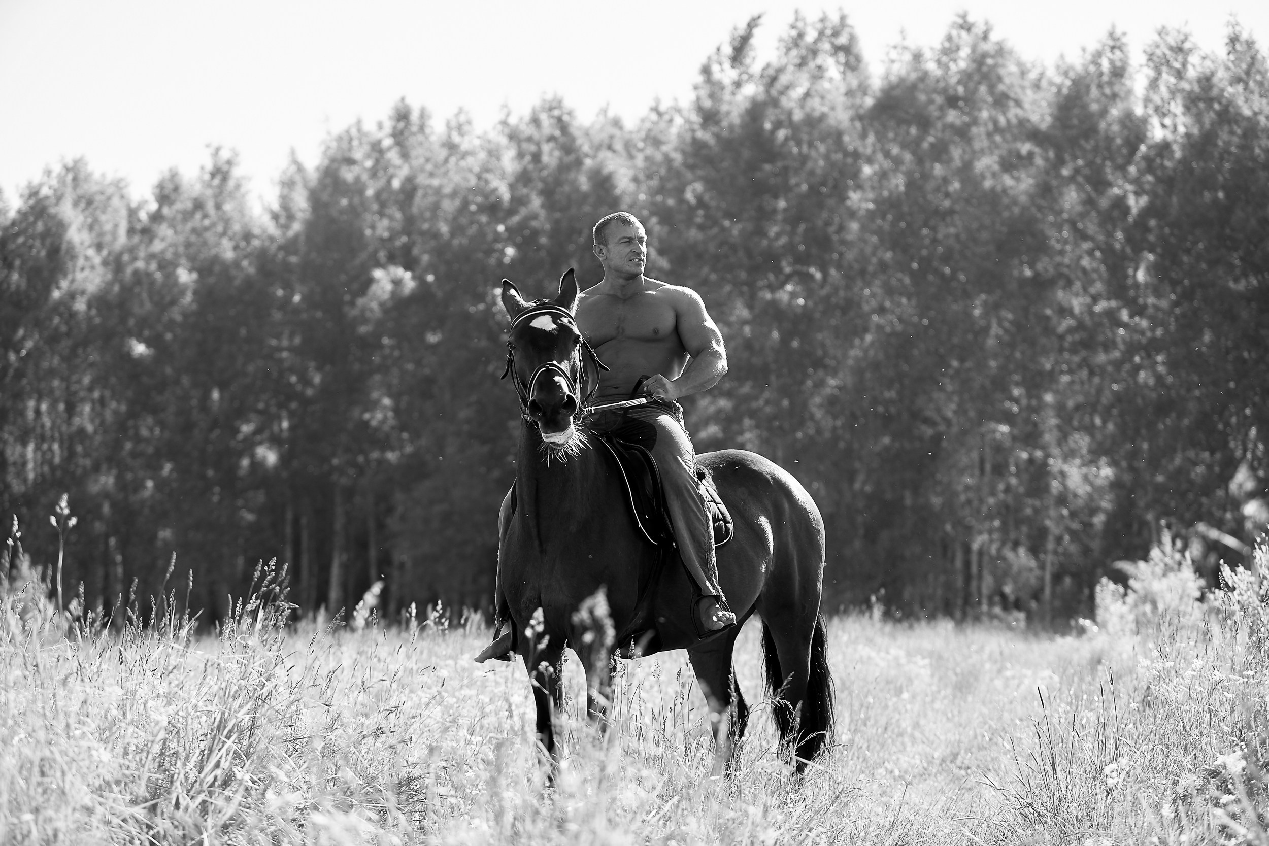 Фотосессия с лошадьми Фотограф Михаил Семенов