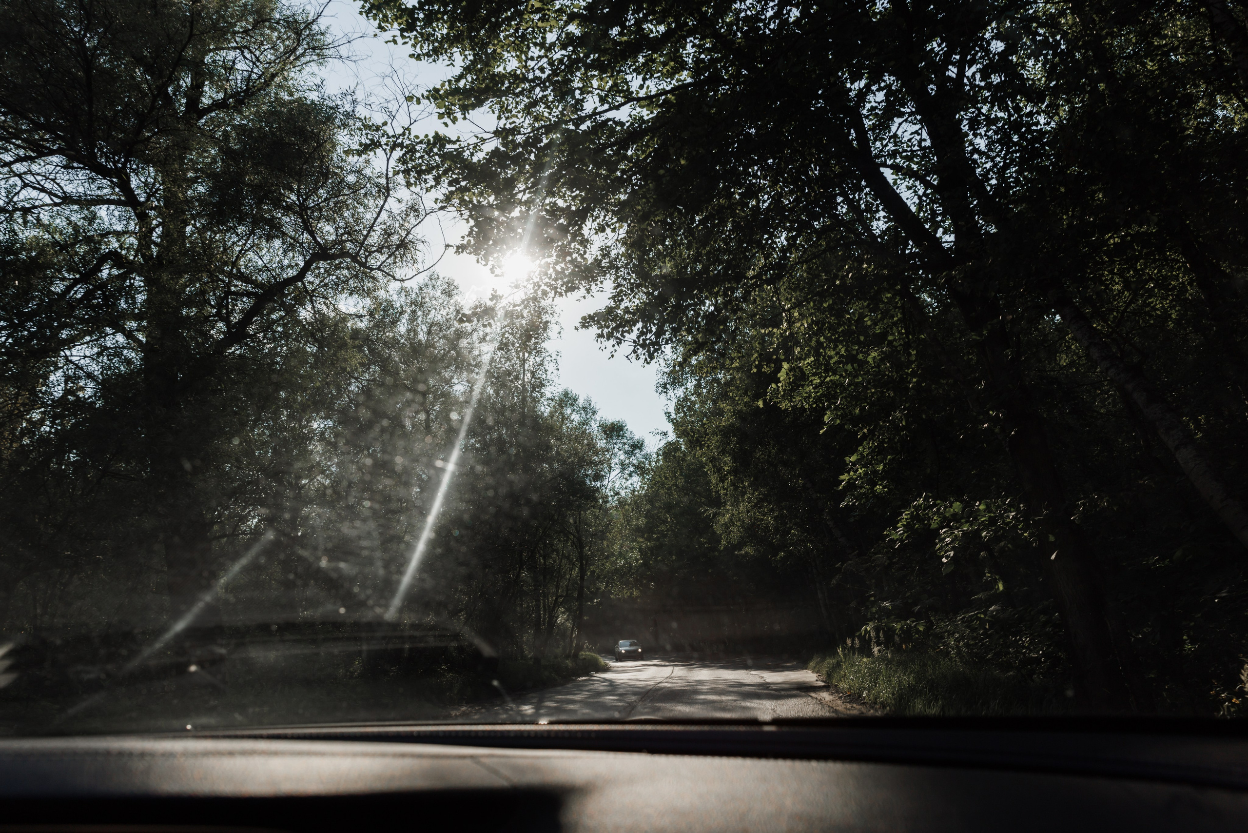 Андрей и Елизавета| Южное Бутово. Фотограф Москва Шептаев Артём