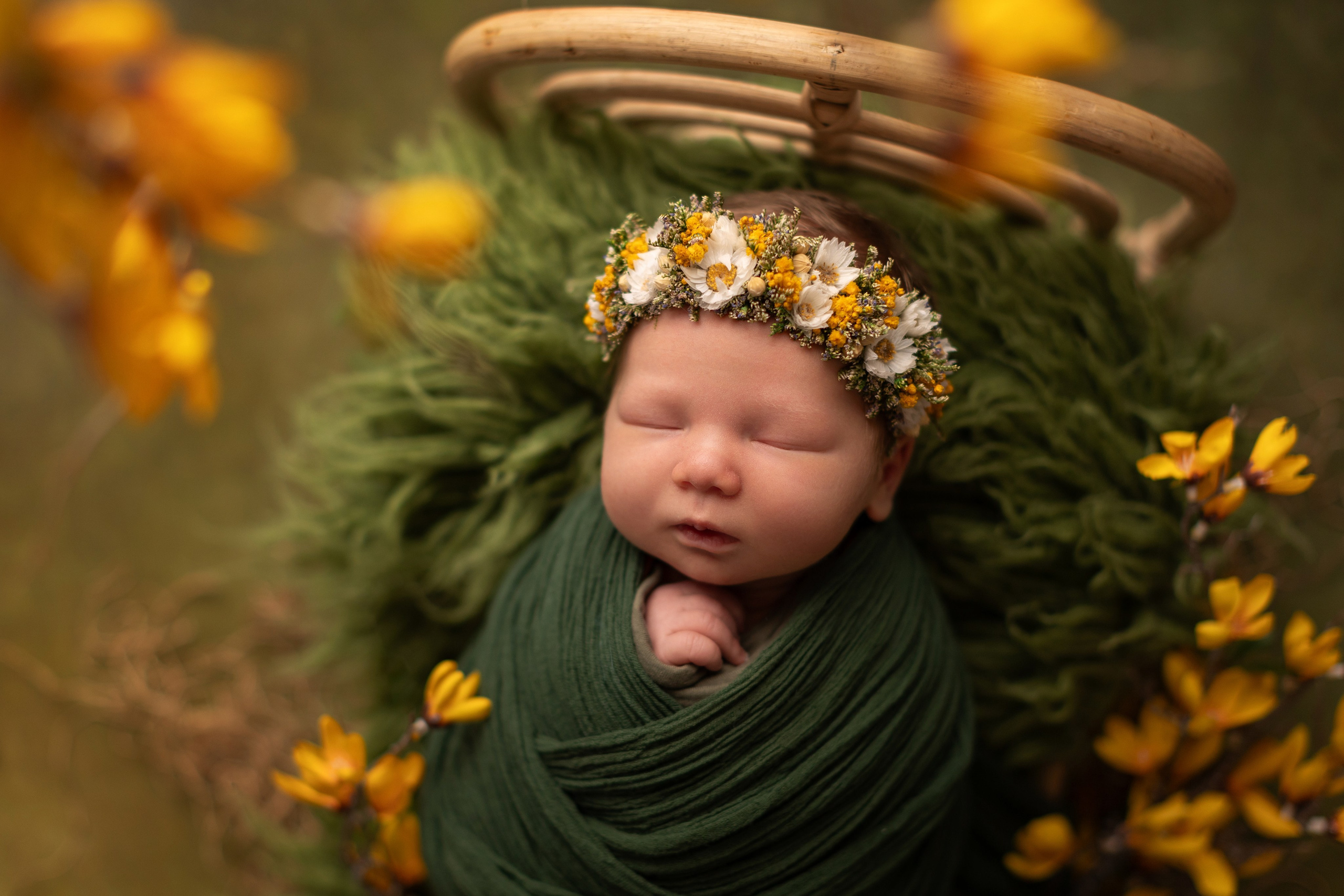 Forest green. Фотограф новорожденных, семейный фотограф в Санкт-Петербурге