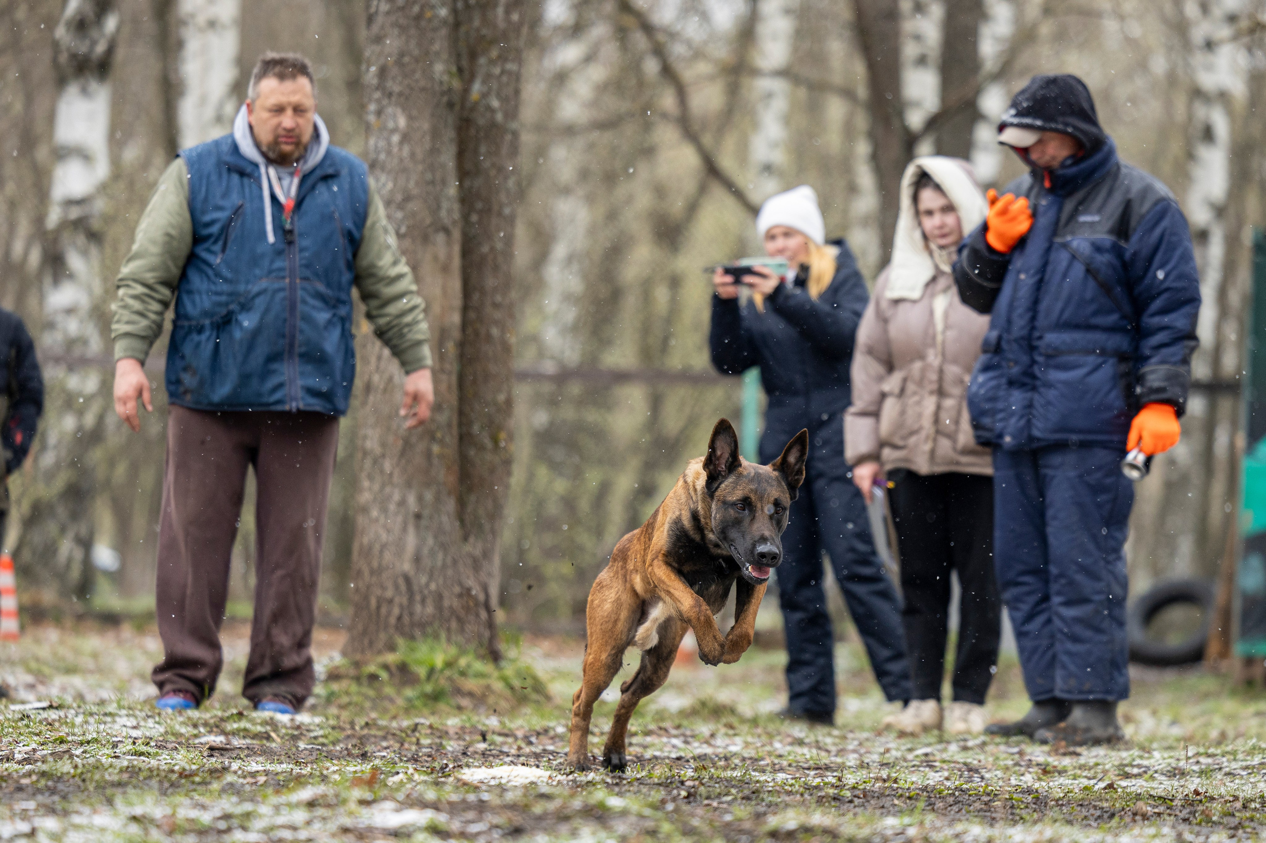Квалификационные состязания по мондьорингу г. Вологда 11.05.24. Фотограф-анималист Анна Маринич