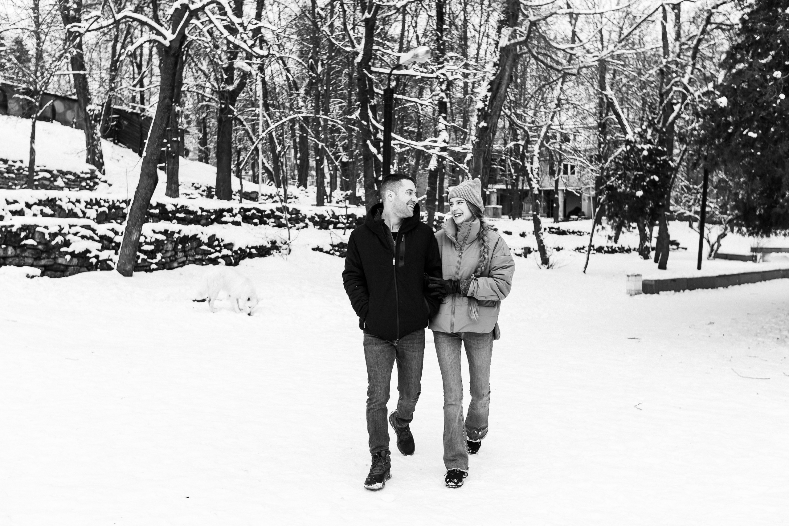 Лапы.Хвост.Снег. Майя Алиева Свадебный фотограф в Санкт-Петербурге